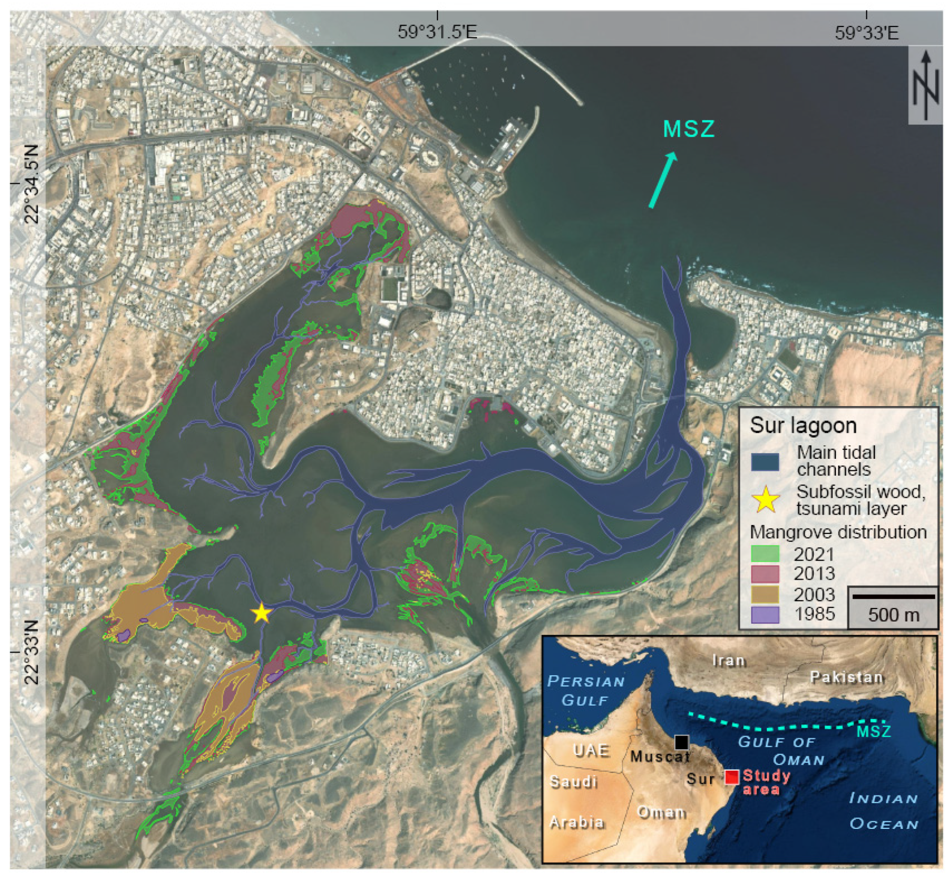 Forests 13 00922 g001