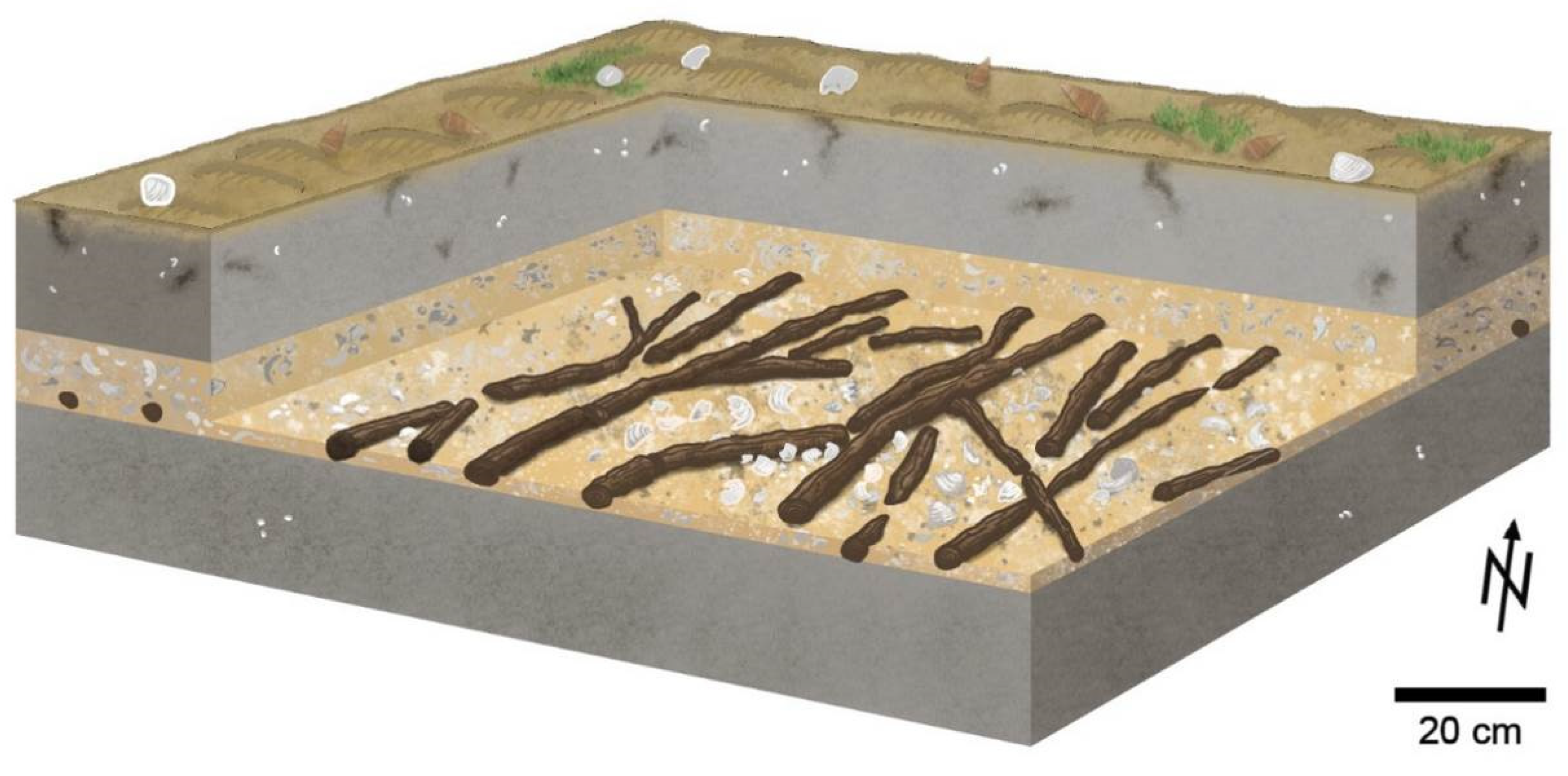 Forests 13 00922 g003