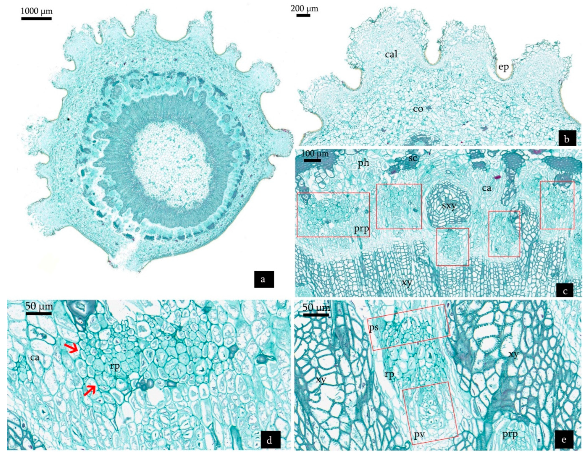 Forests 13 00925 g007