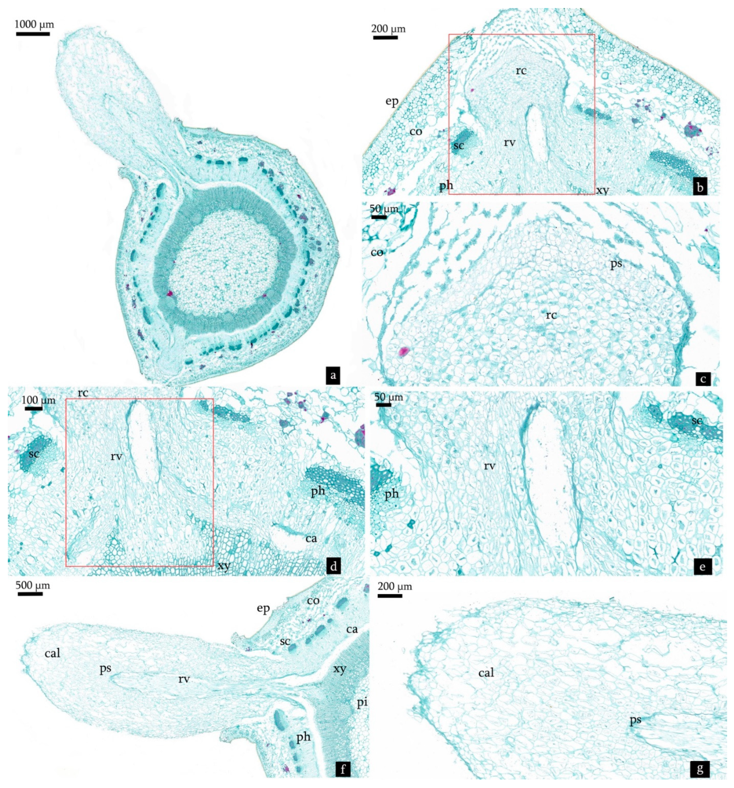Forests 13 00925 g008
