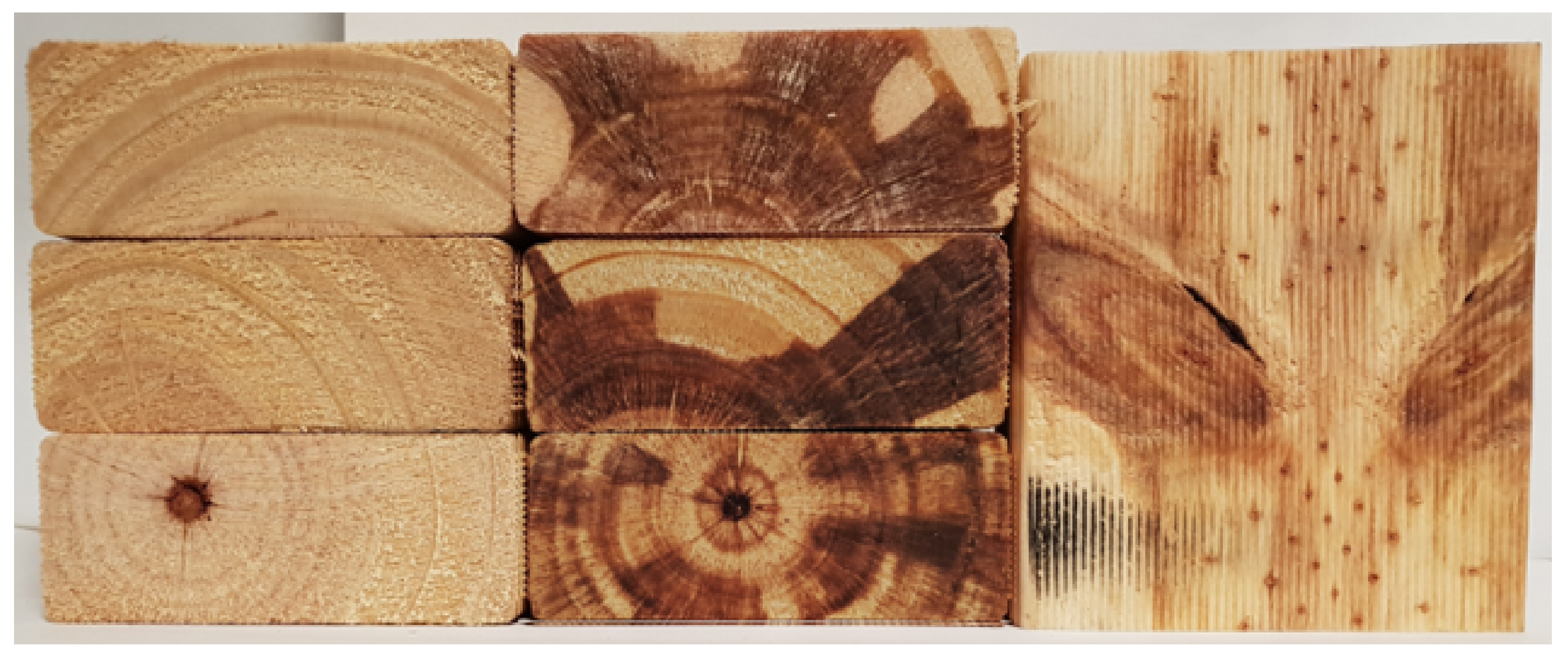 Forests 13 00927 g002