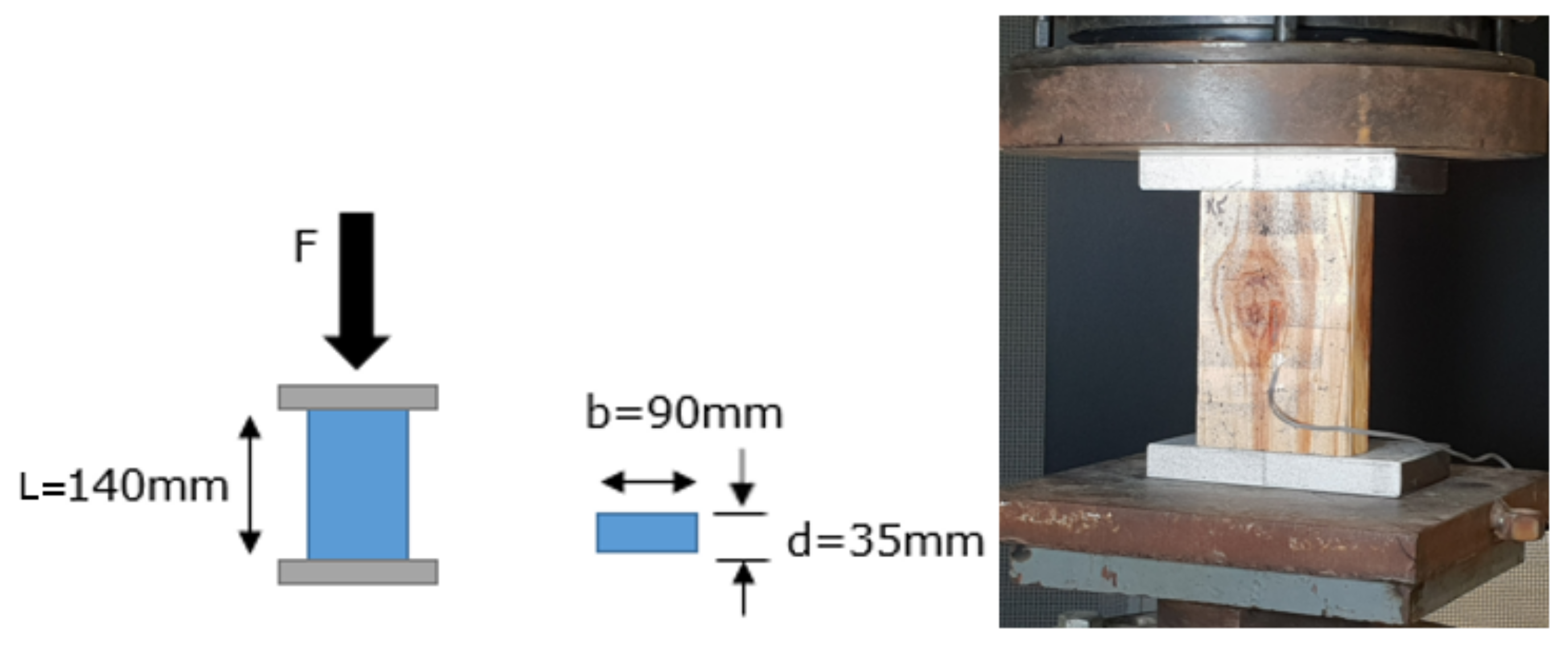 Forests 13 00927 g004