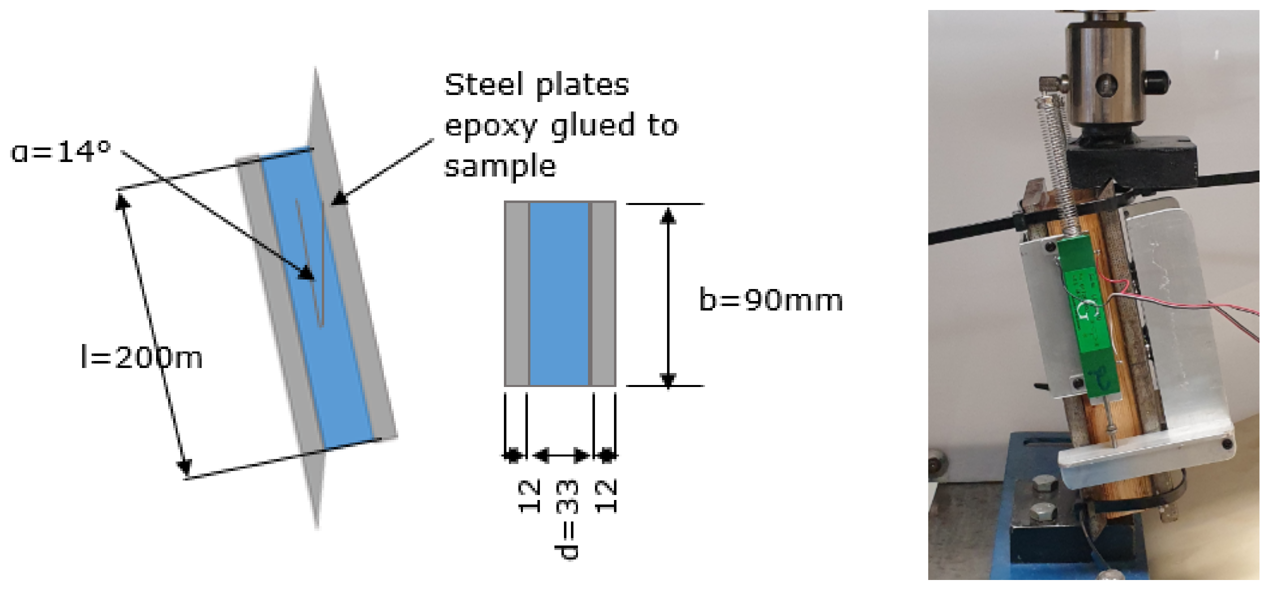 Forests 13 00927 g006