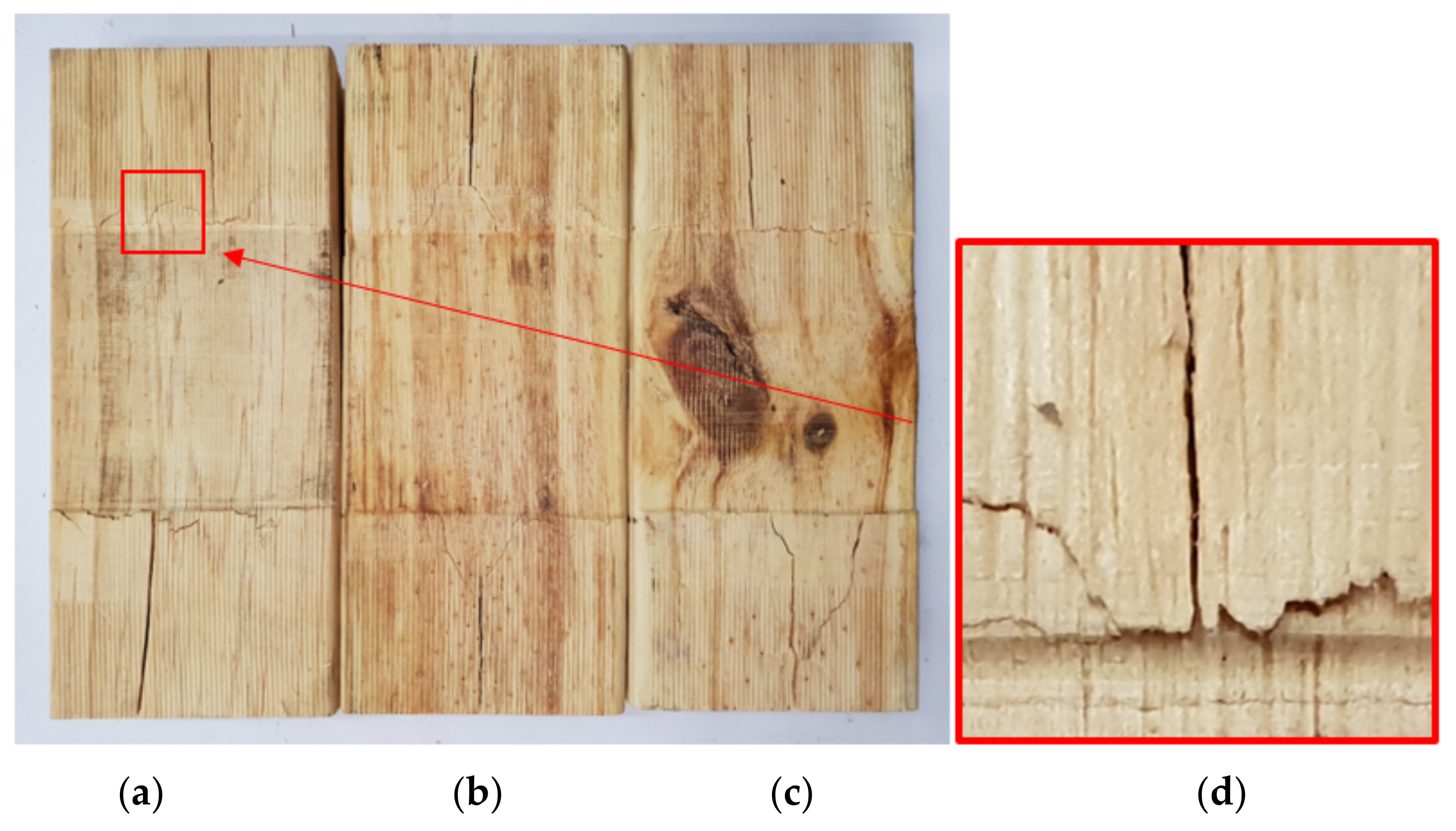 Forests 13 00927 g018