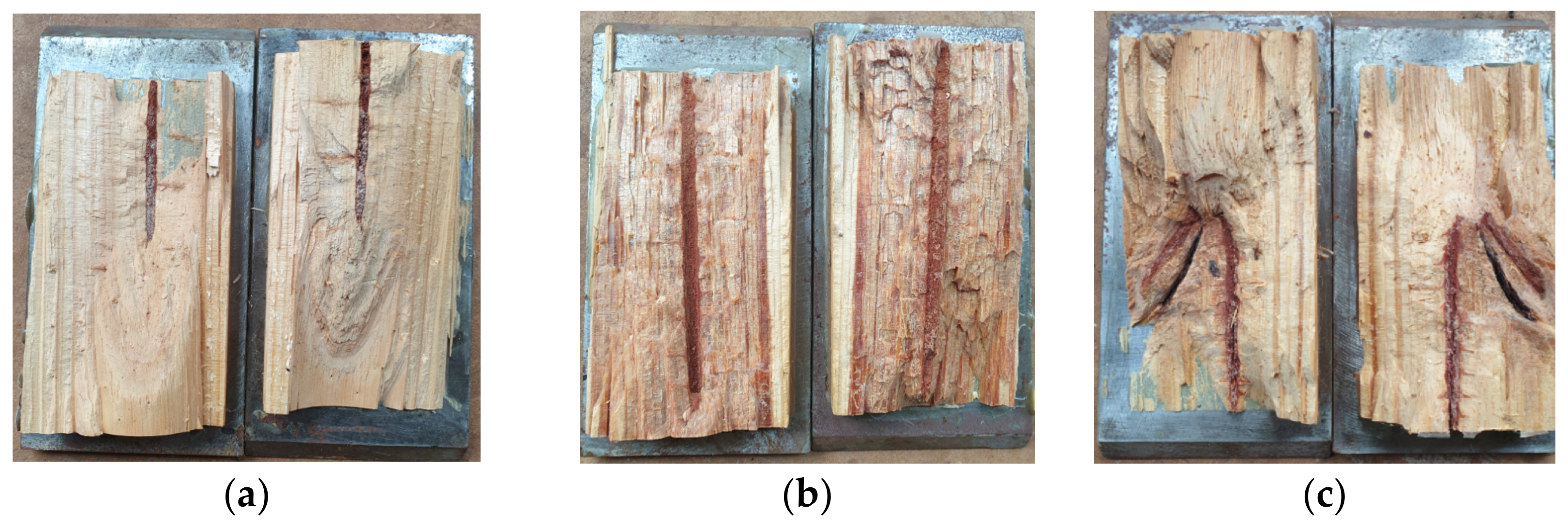 Forests 13 00927 g023