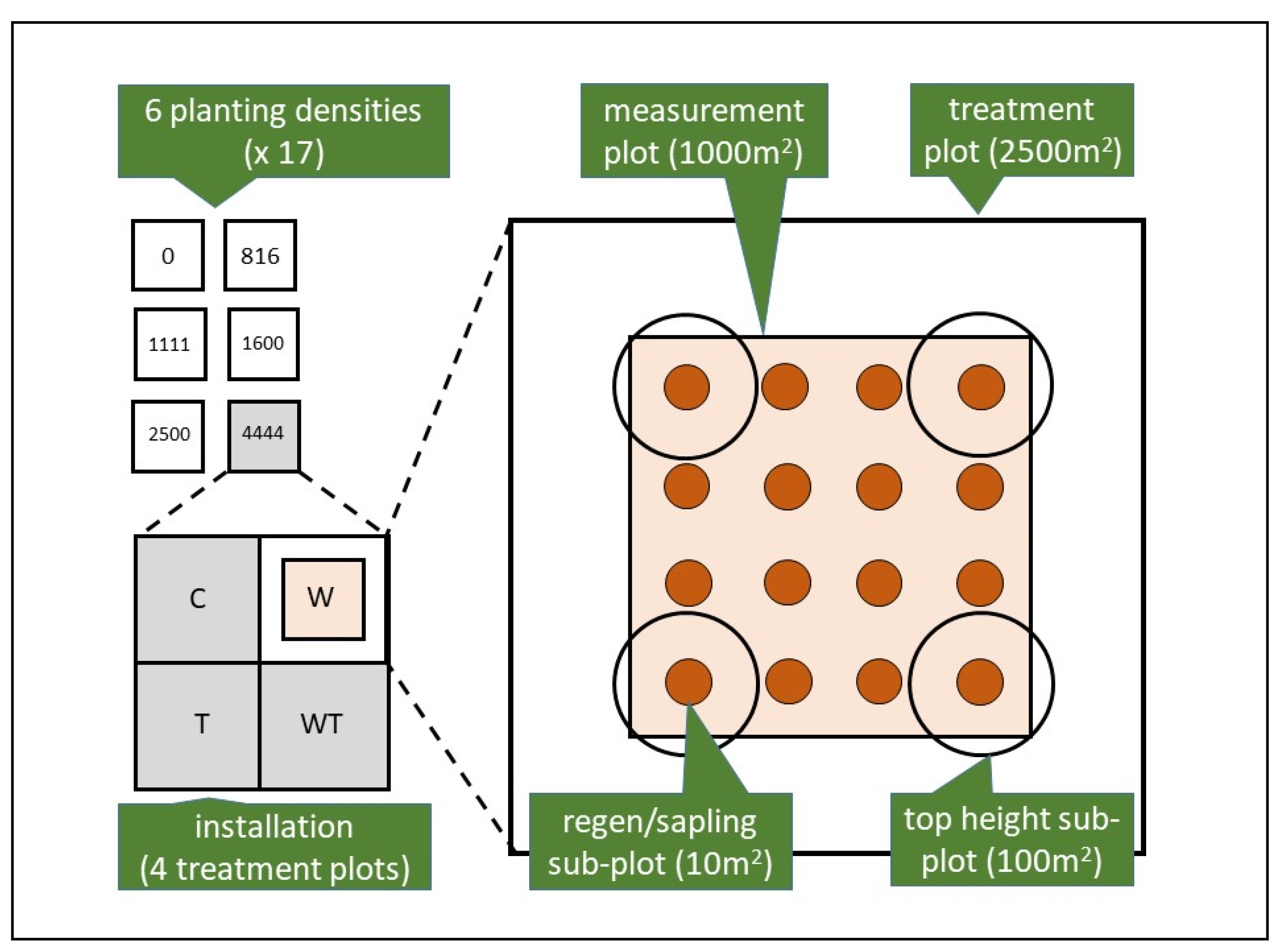 Forests 13 00929 g002