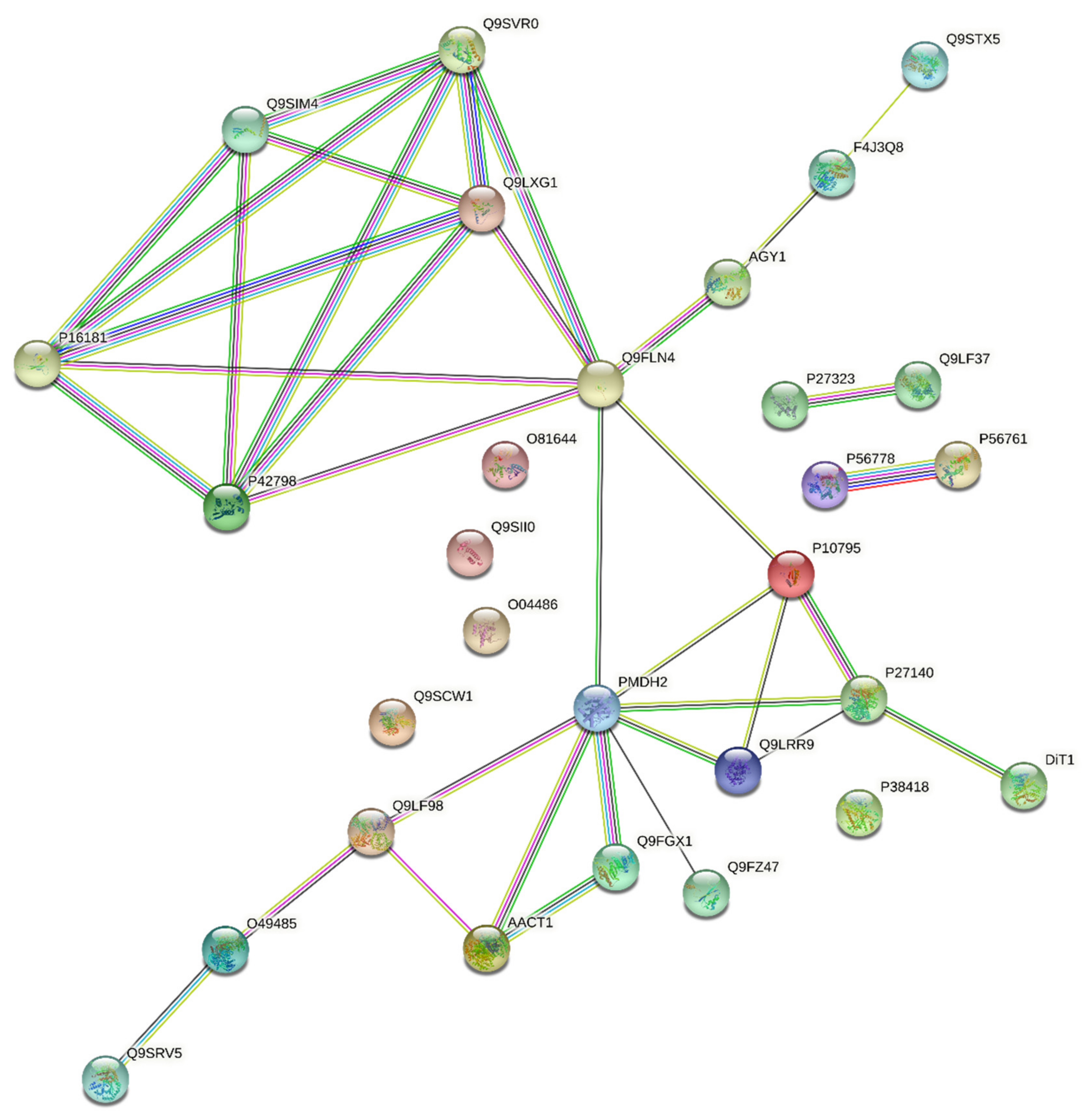 Forests 13 00940 g006