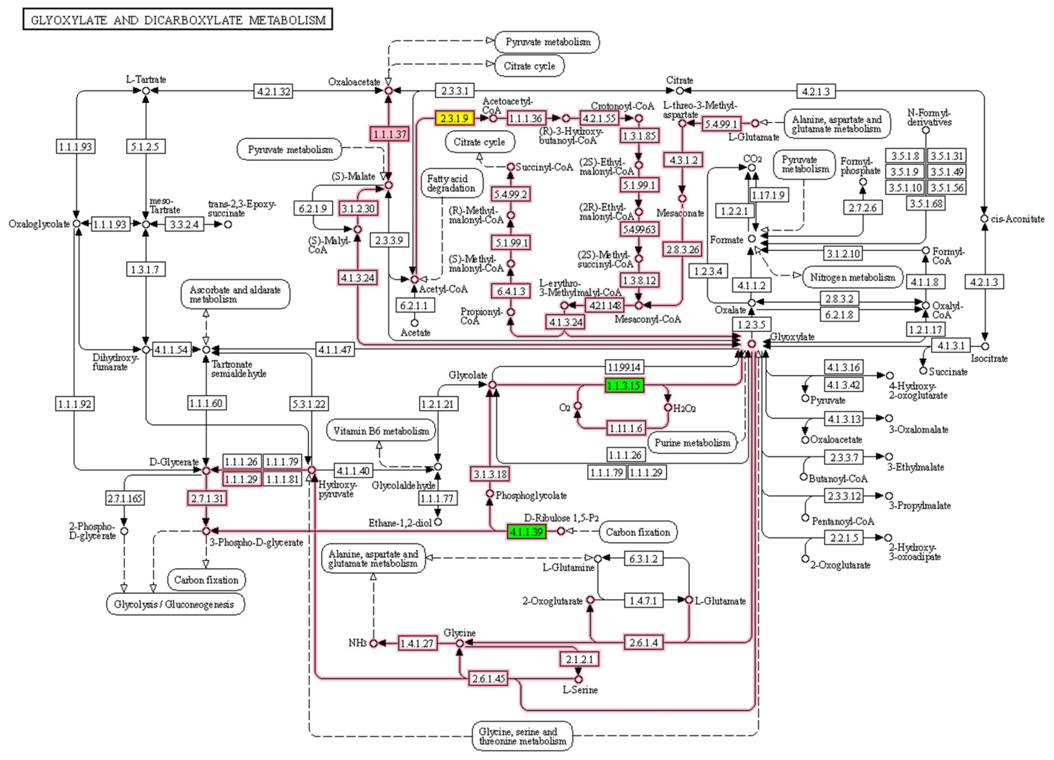 Forests 13 00940 g008