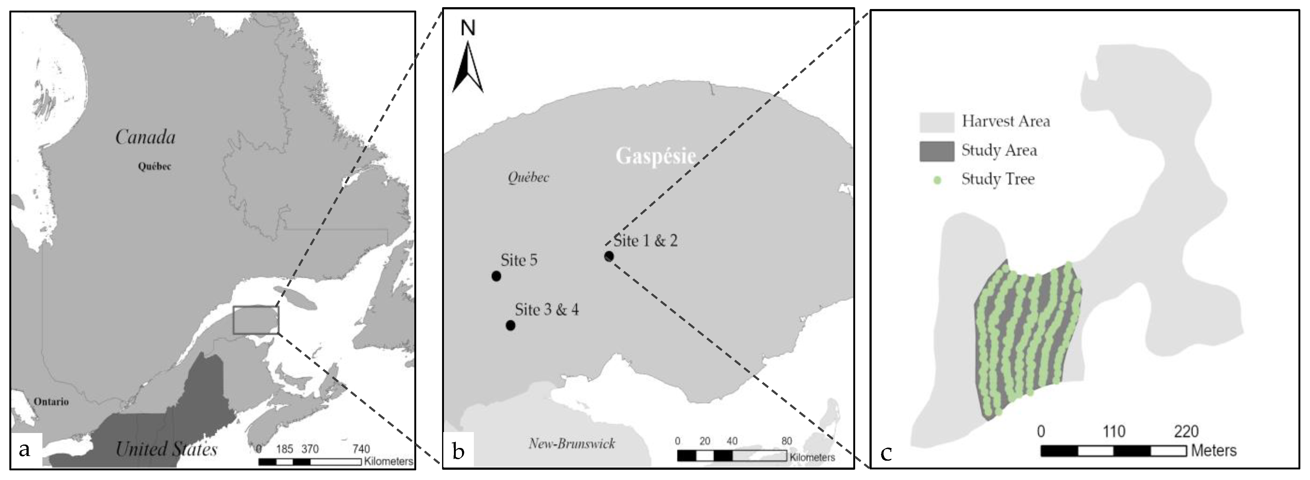 Forests 13 00945 g001
