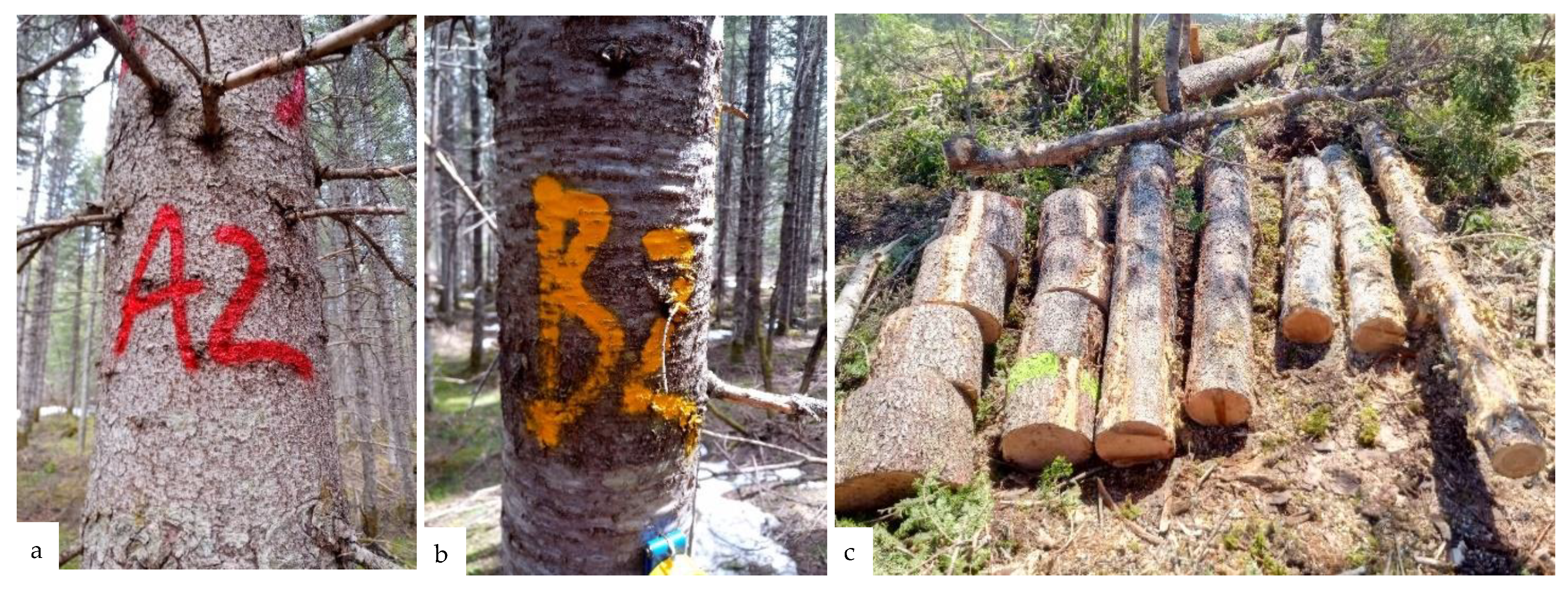 Forests 13 00945 g002