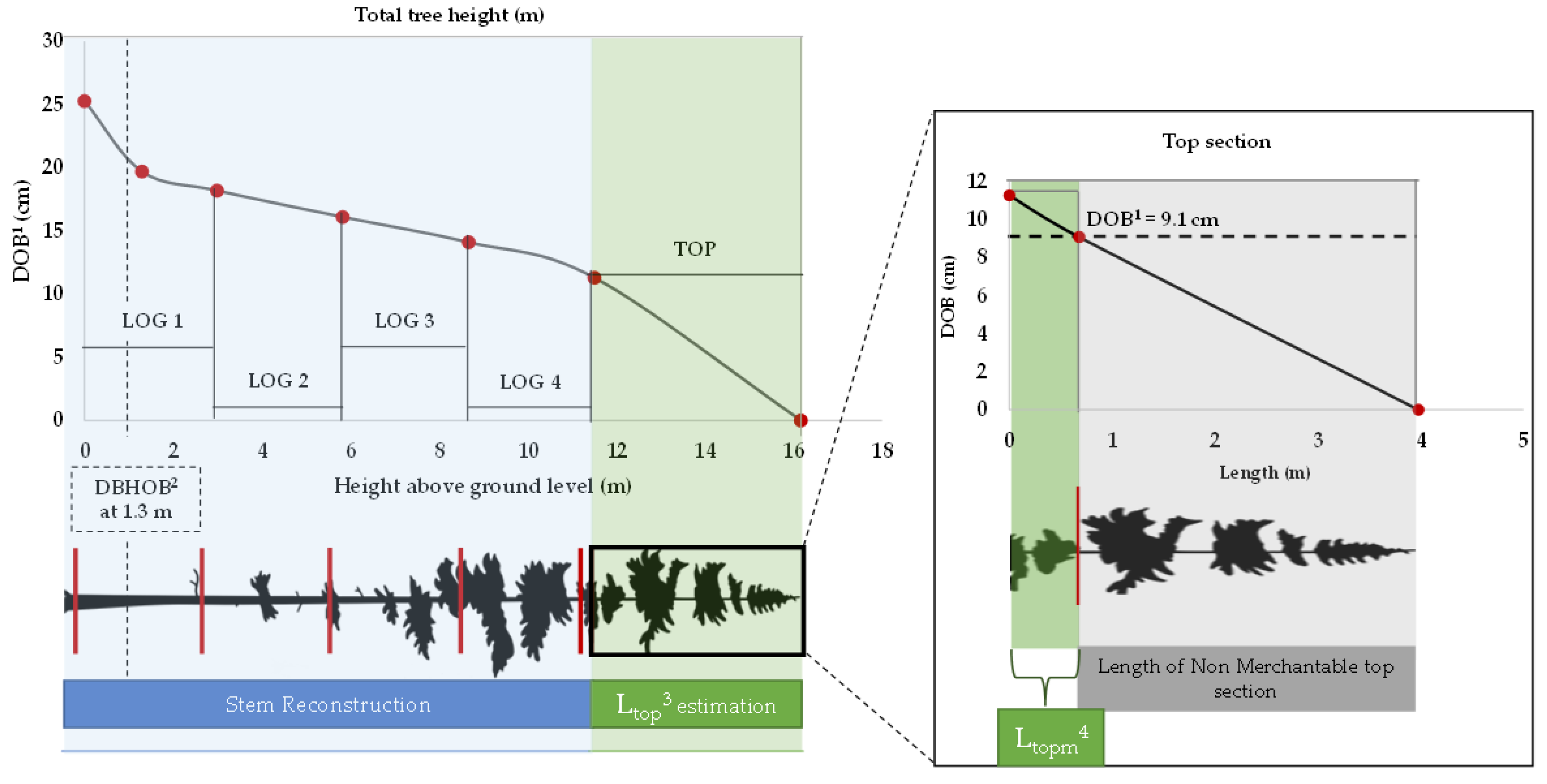 Forests 13 00945 g004