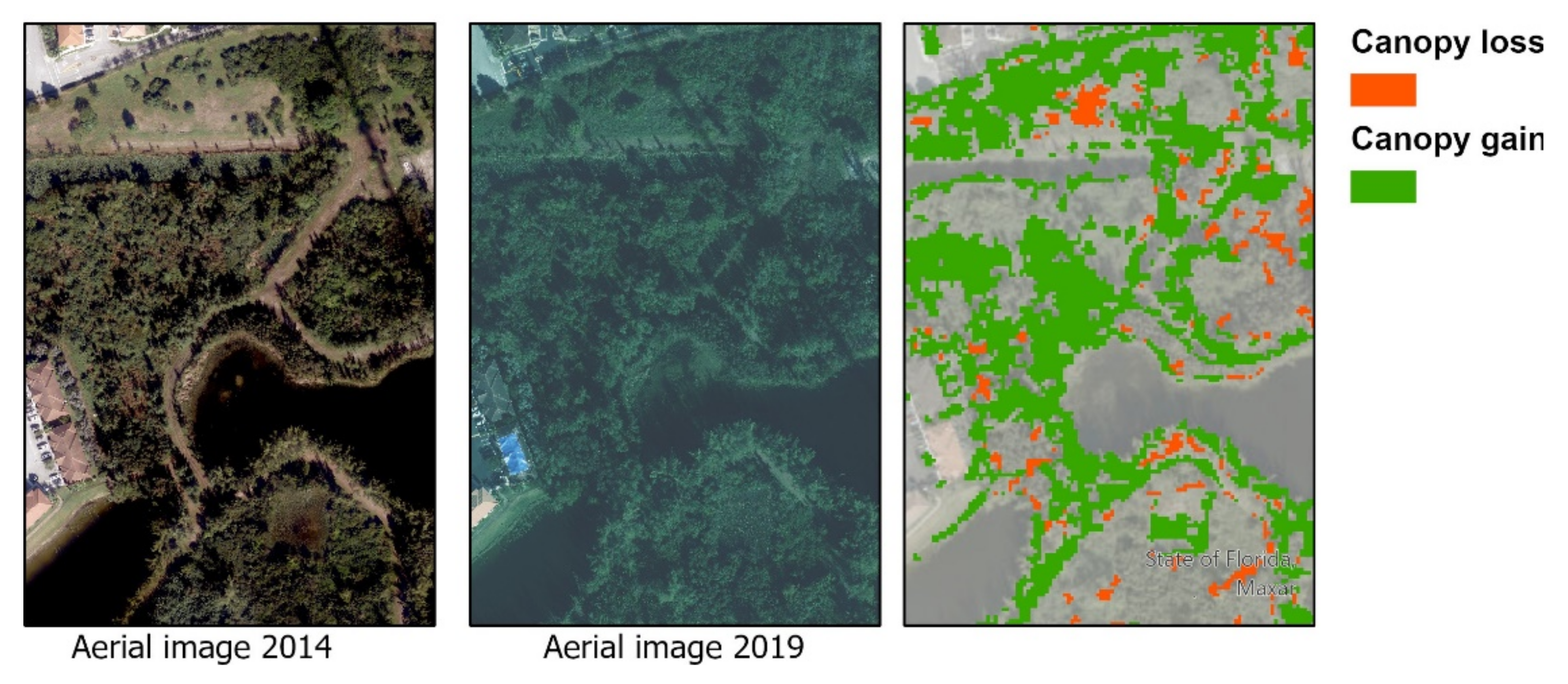 Forests 13 00949 g011