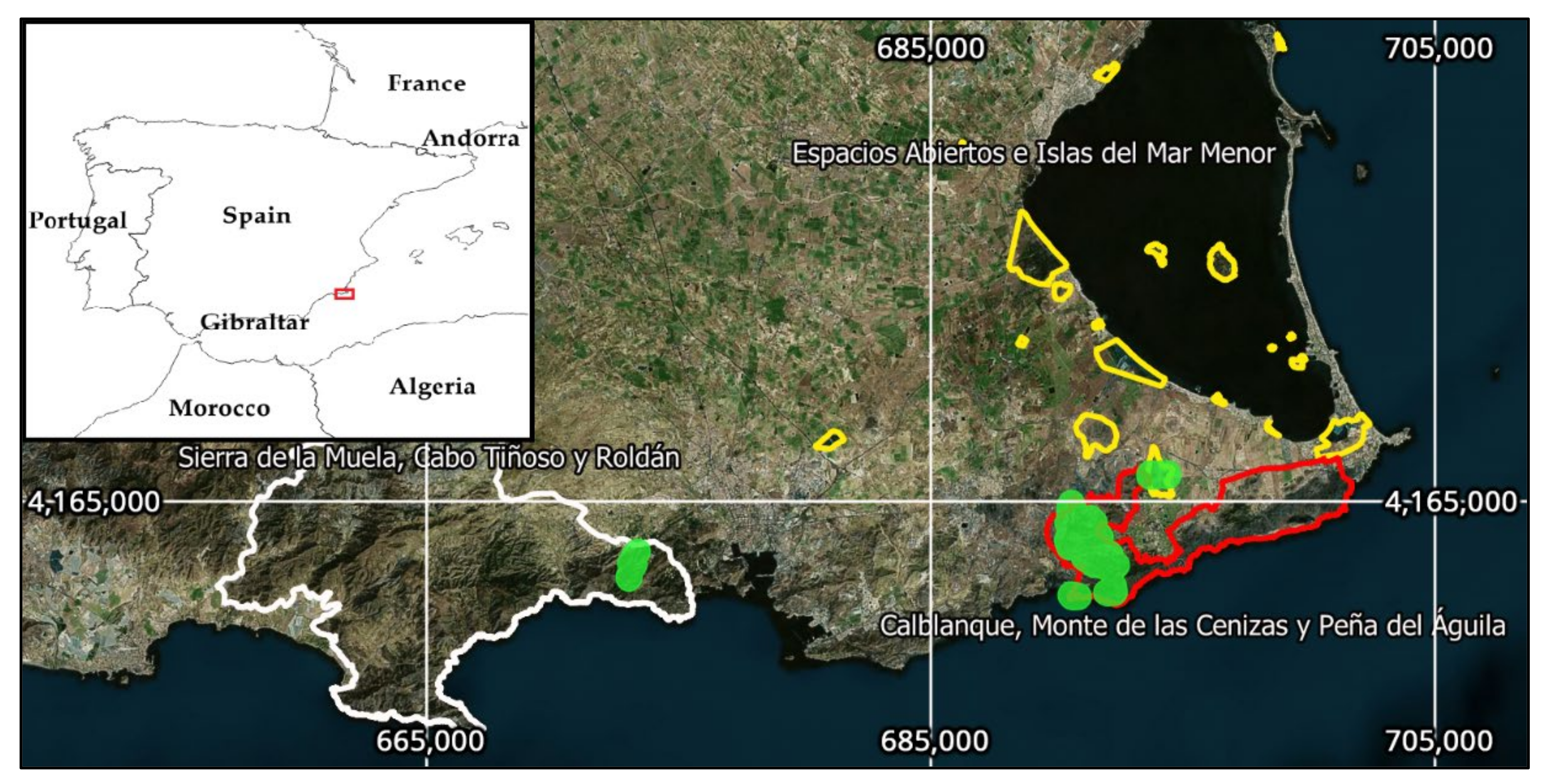 Forests 13 00950 g001