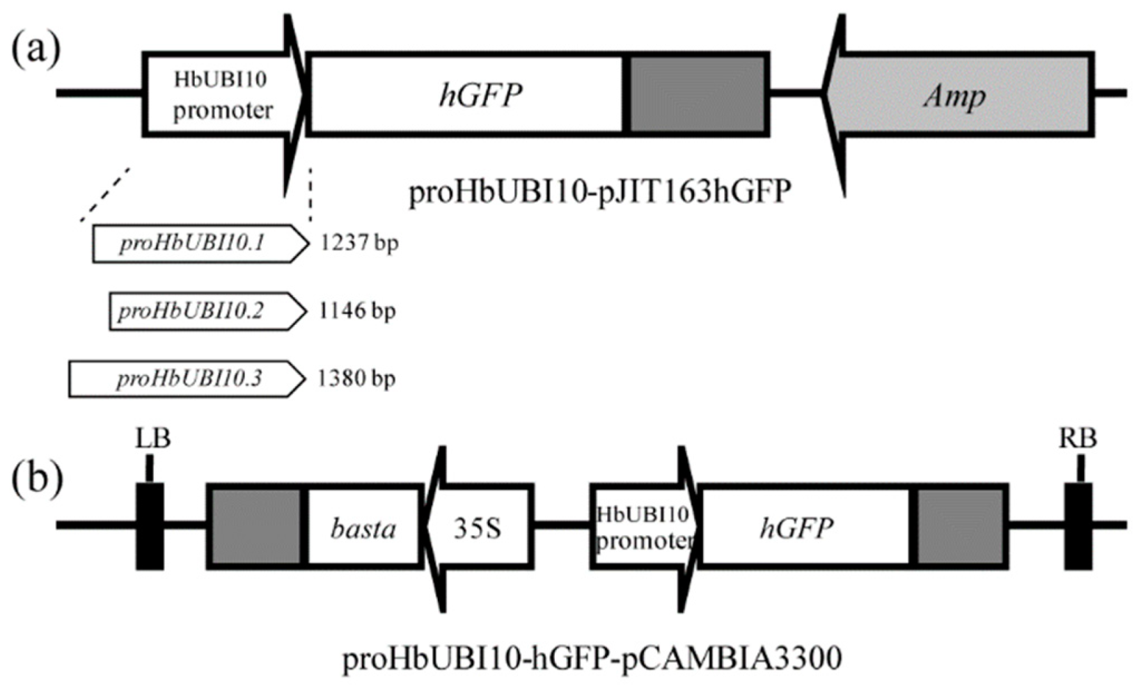 Forests 13 00952 g001
