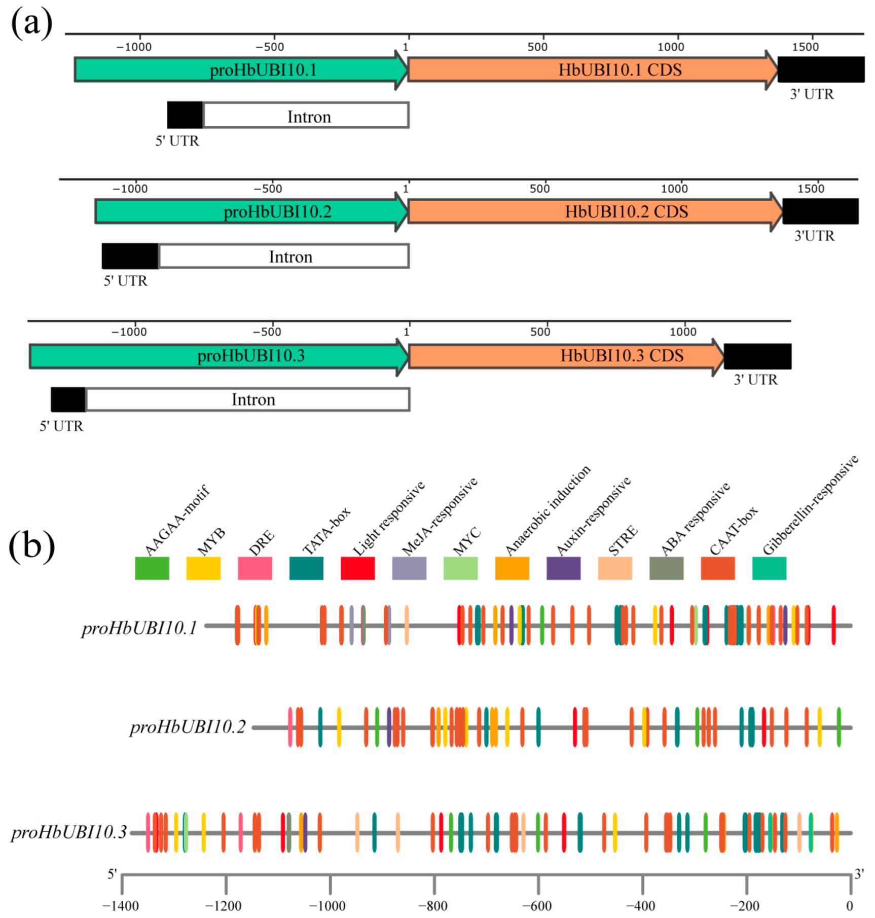 Forests 13 00952 g002