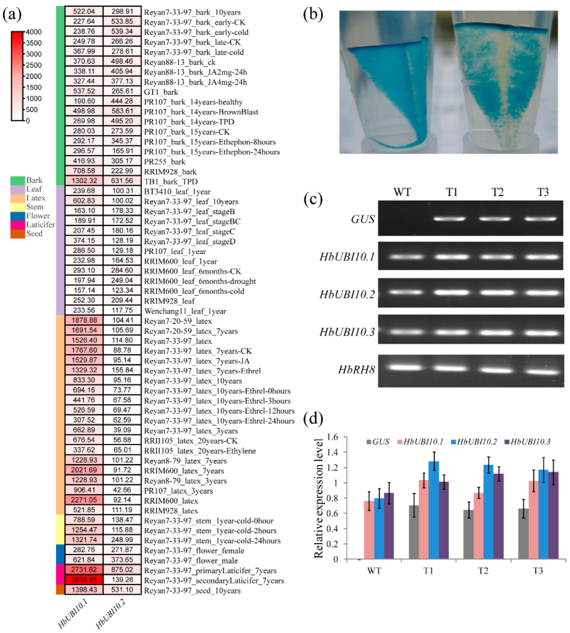 Forests 13 00952 g003