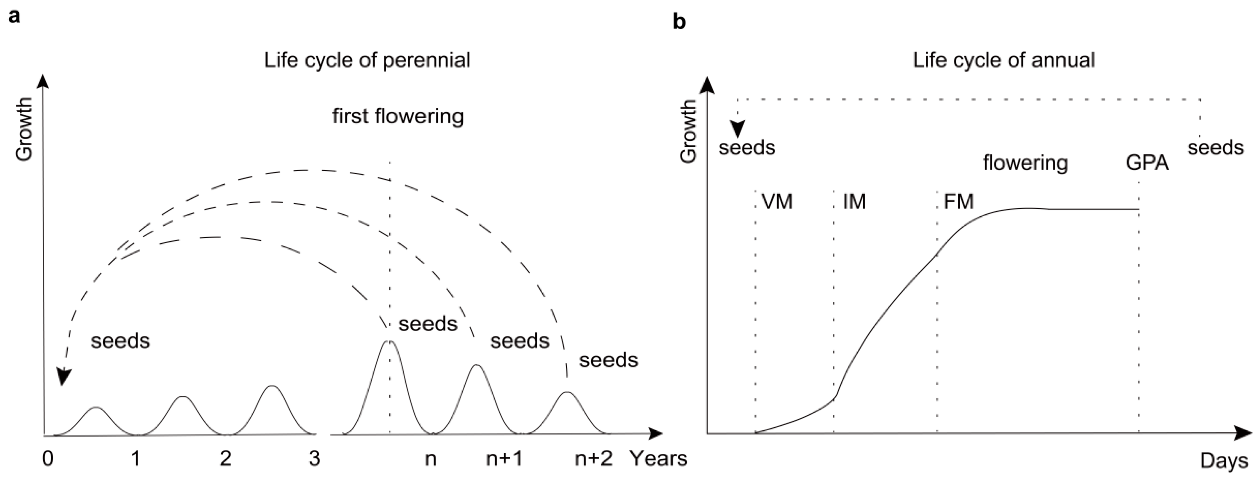 Forests 13 00953 g001