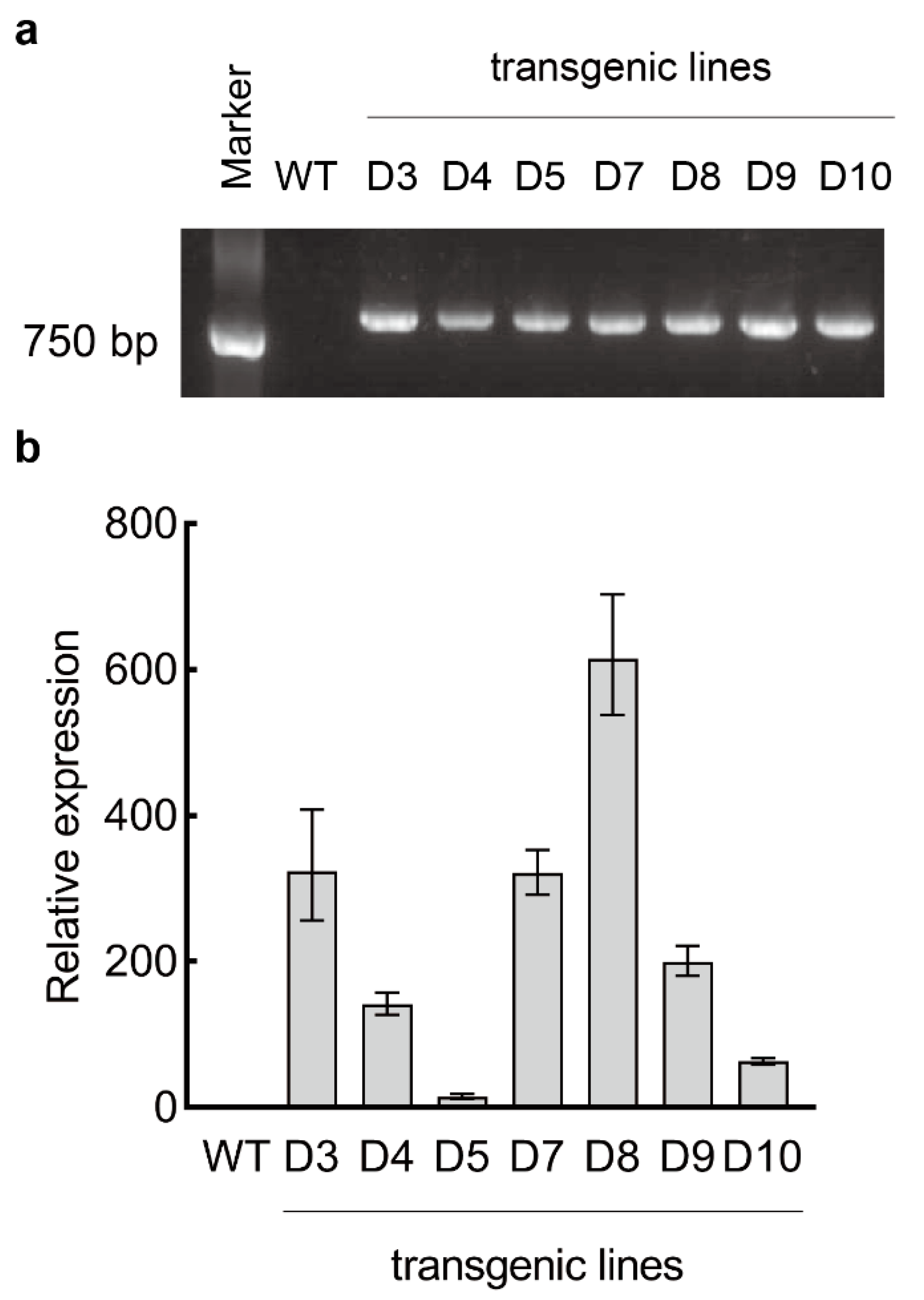 Forests 13 00953 g002