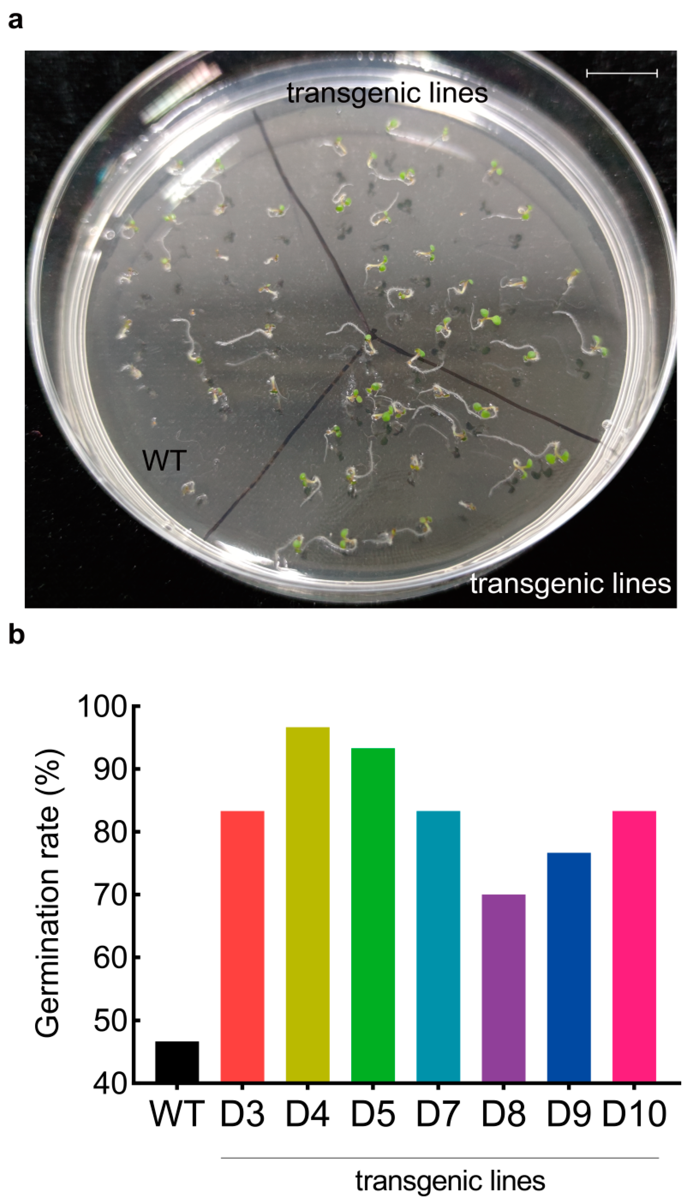 Forests 13 00953 g003