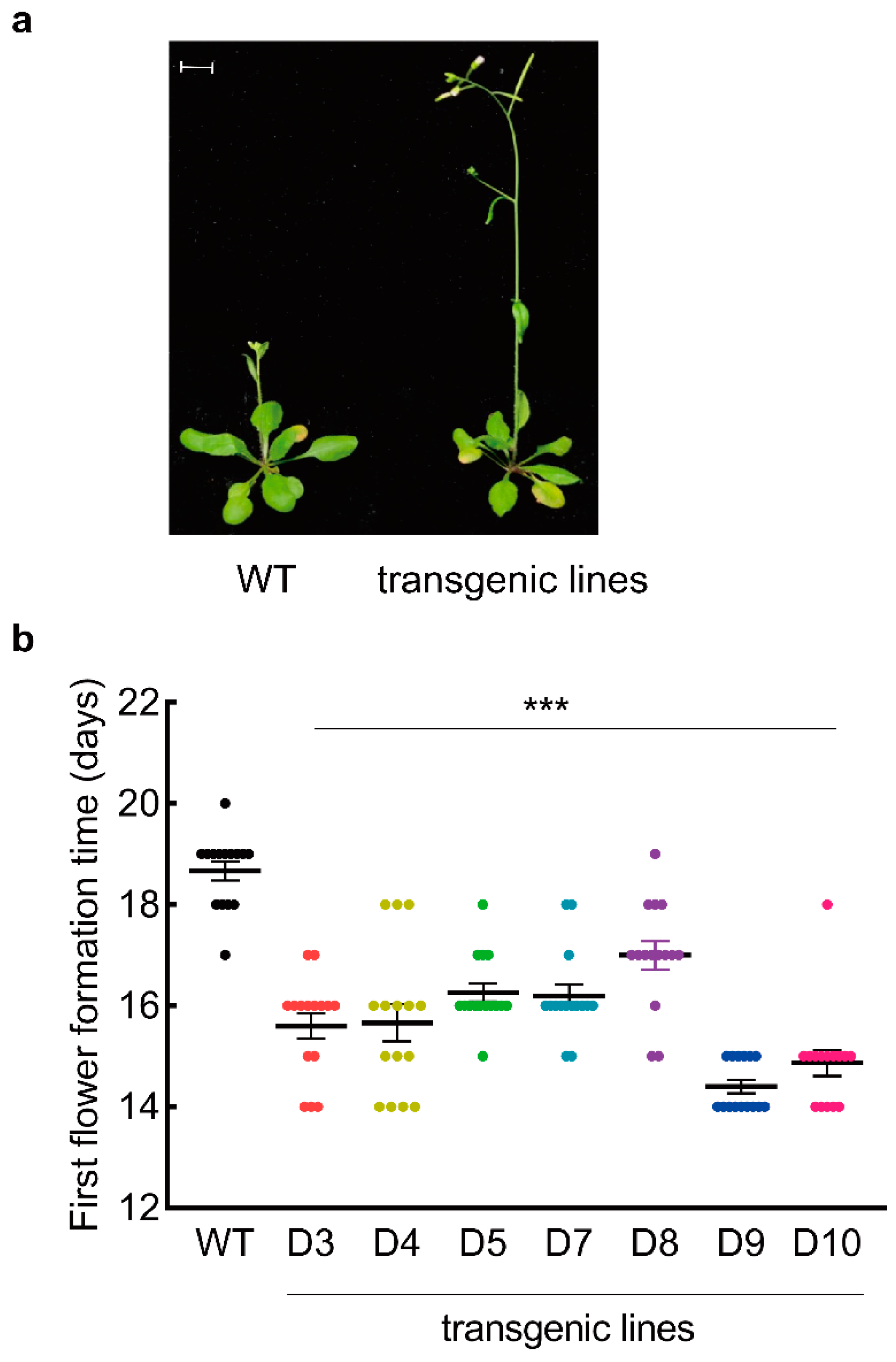 Forests 13 00953 g005