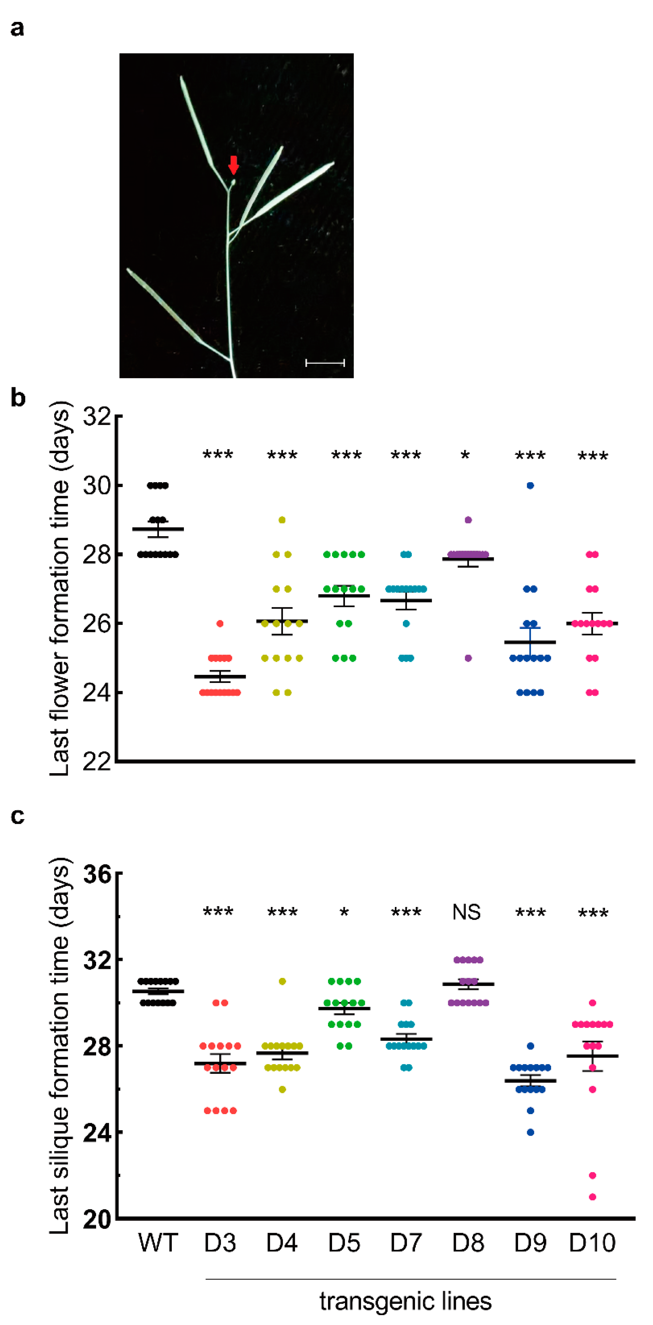 Forests 13 00953 g006