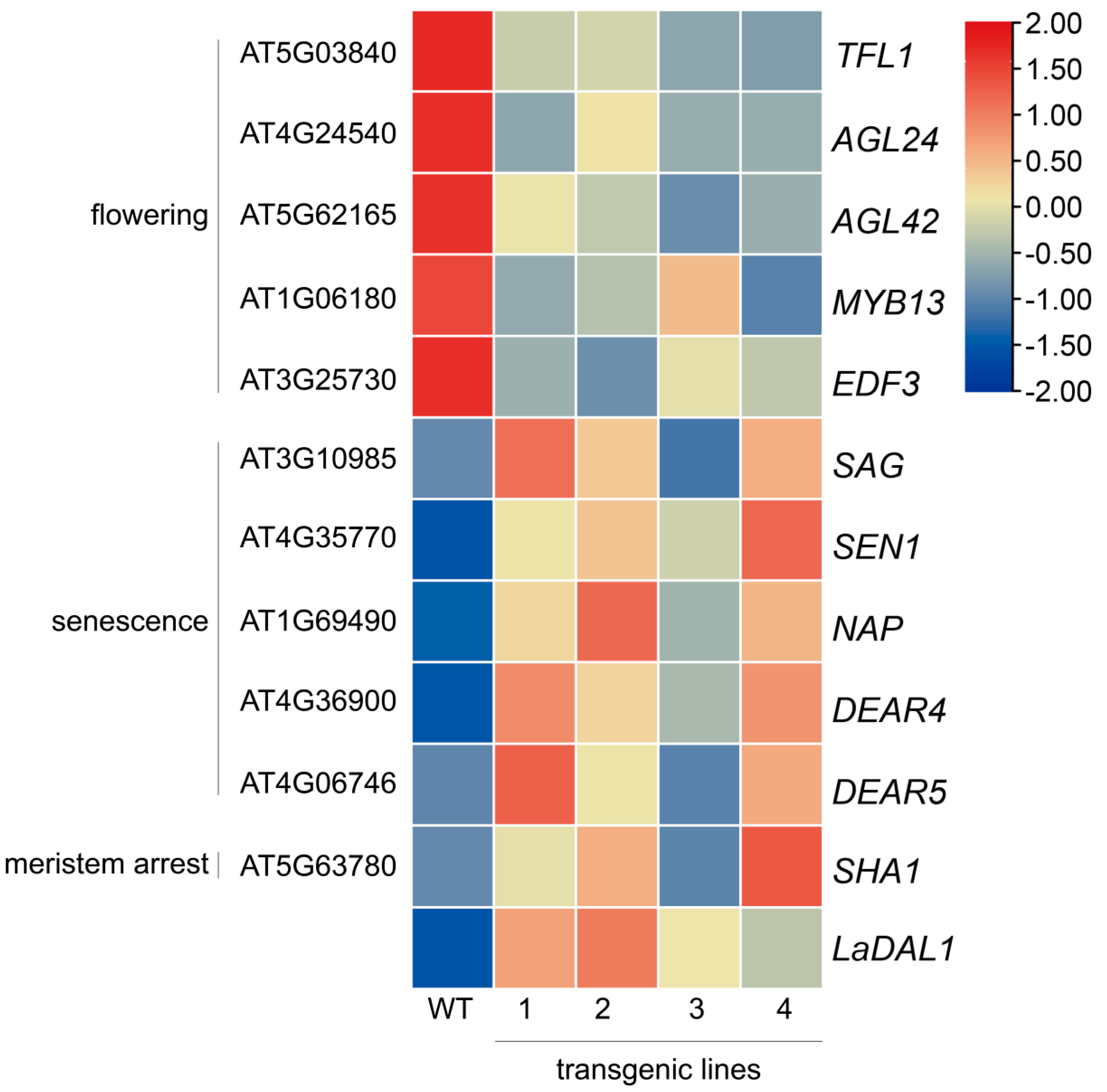 Forests 13 00953 g009