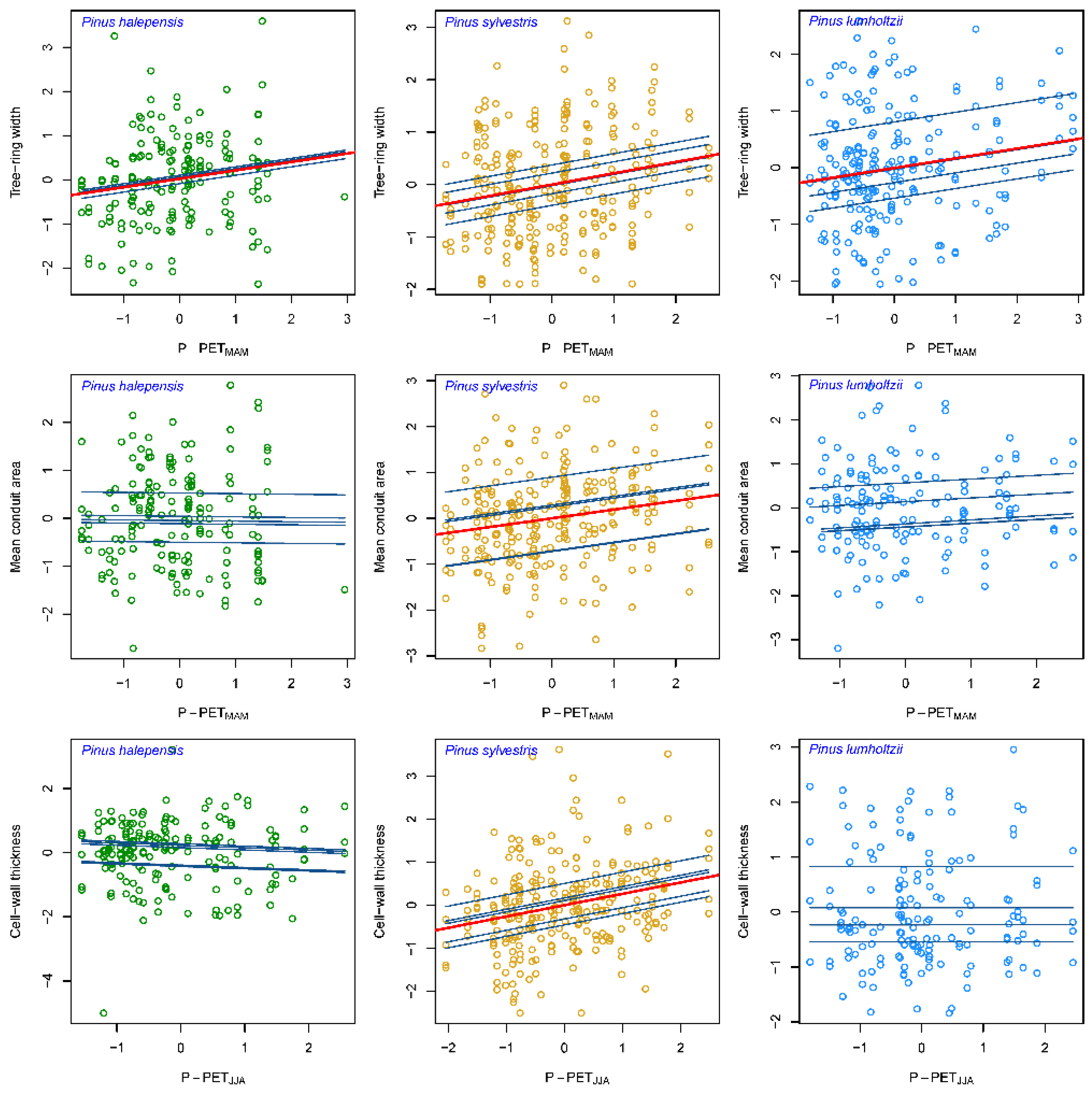 Forests 13 00956 g005