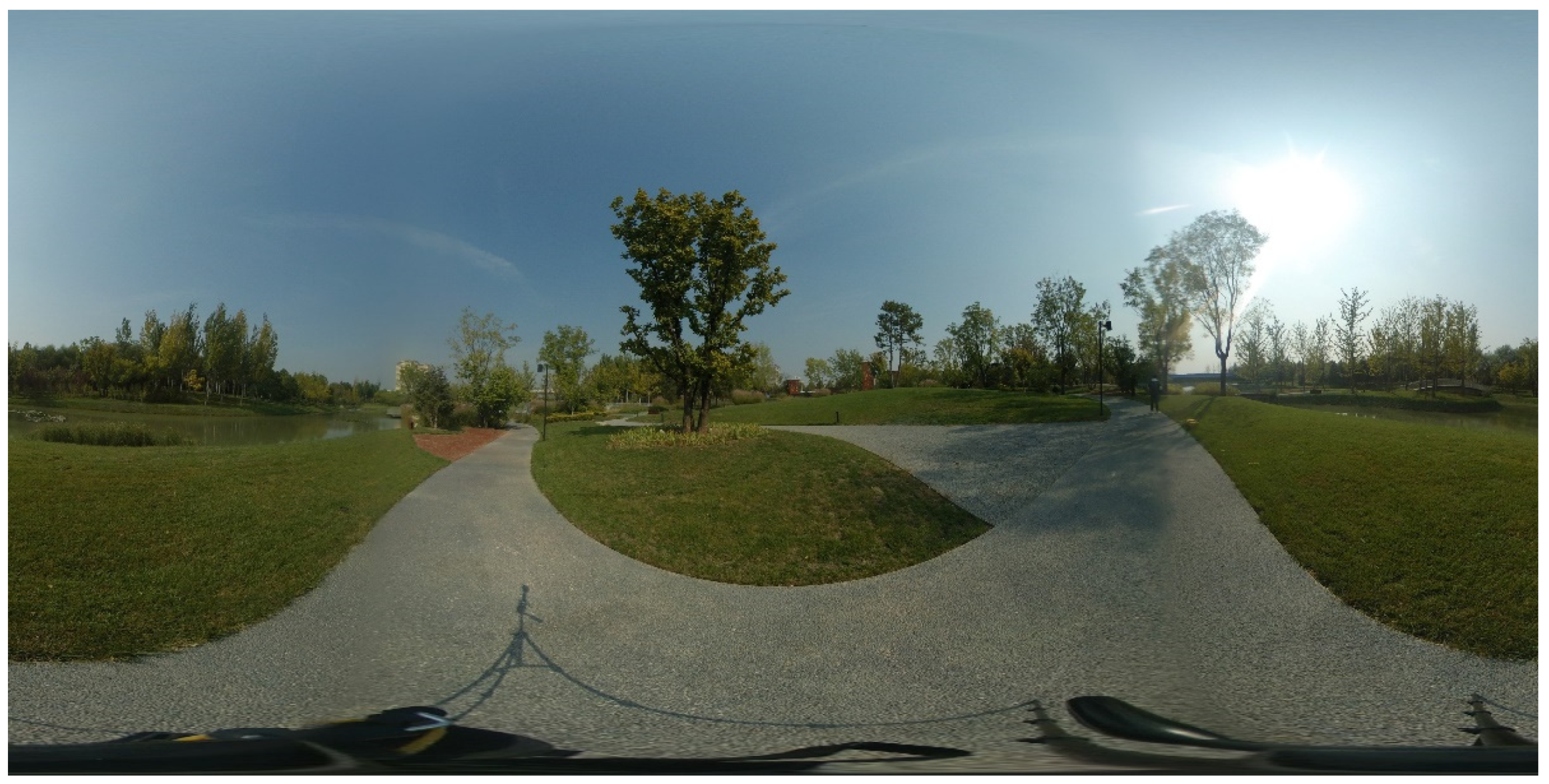 Forests 13 00960 g001