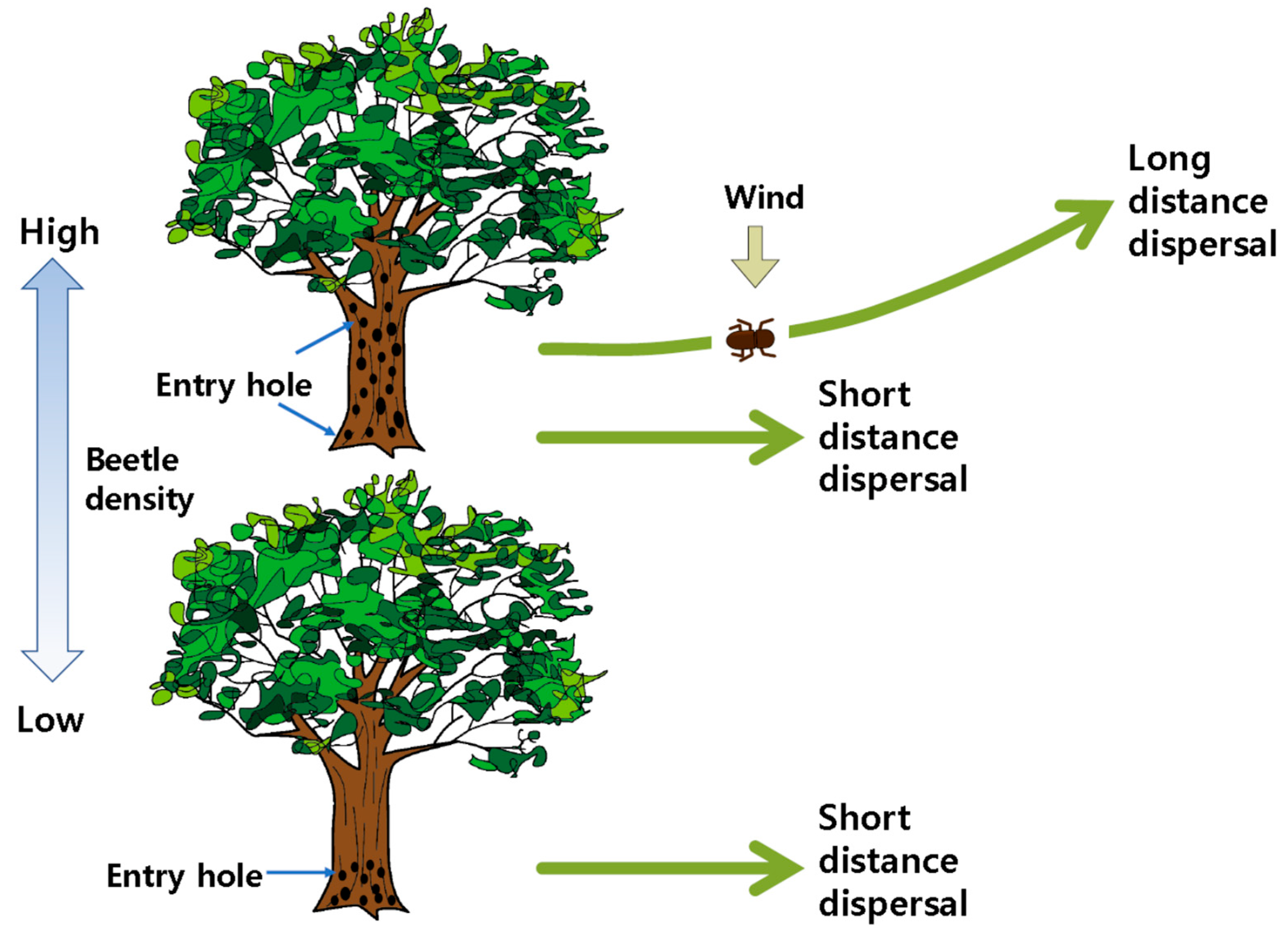 Forests 13 00964 g005