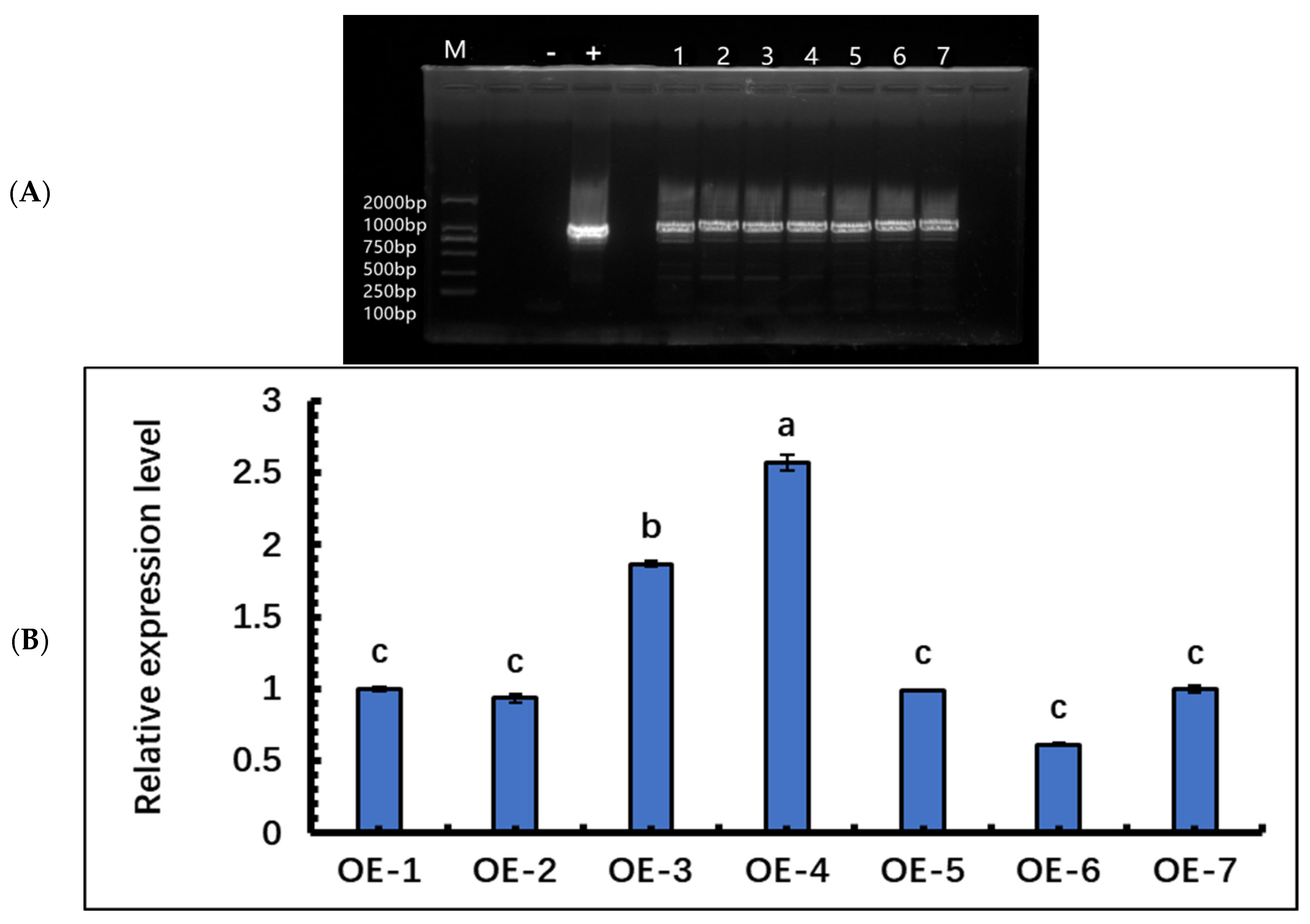 Forests 13 00971 g005