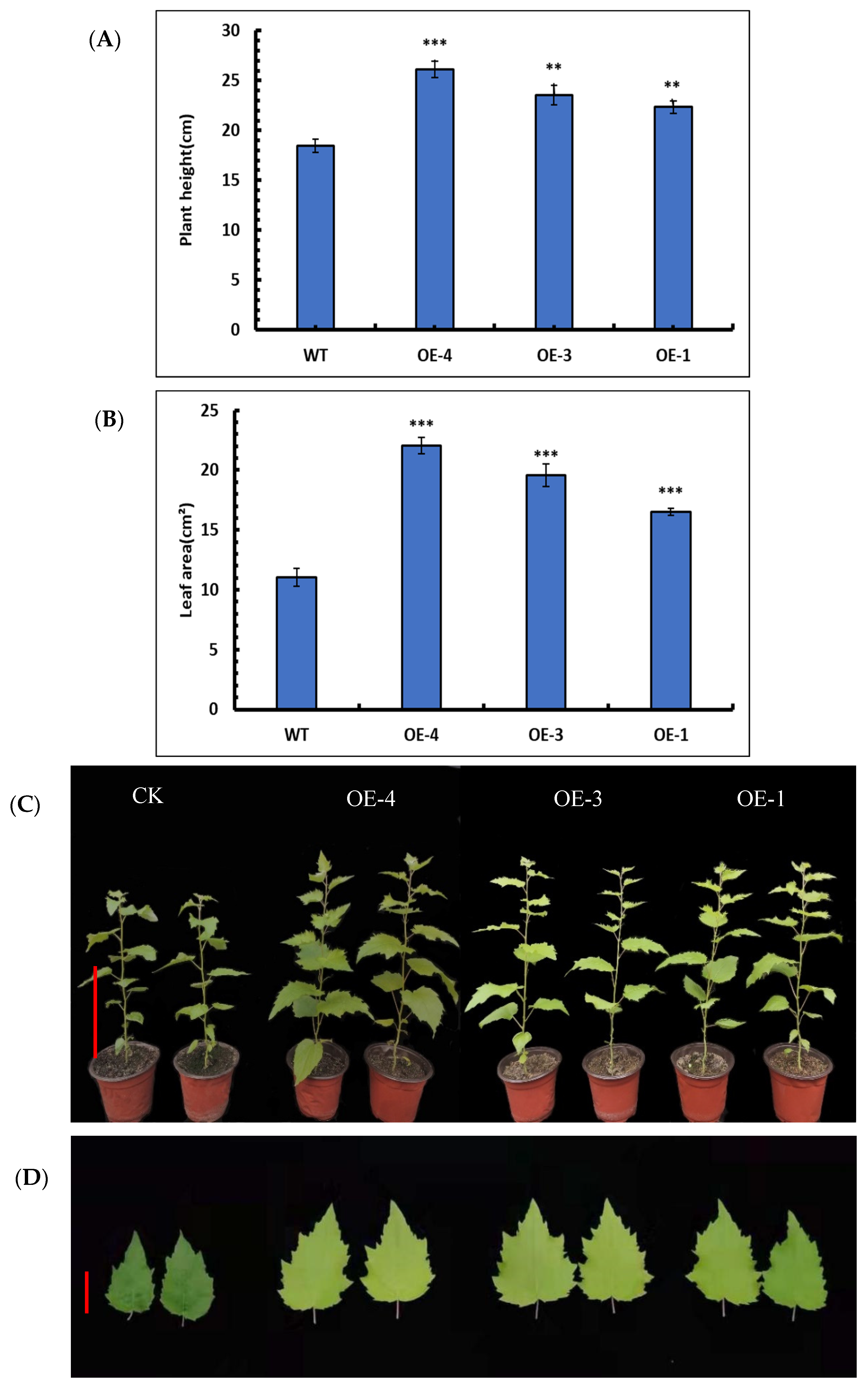 Forests 13 00971 g006