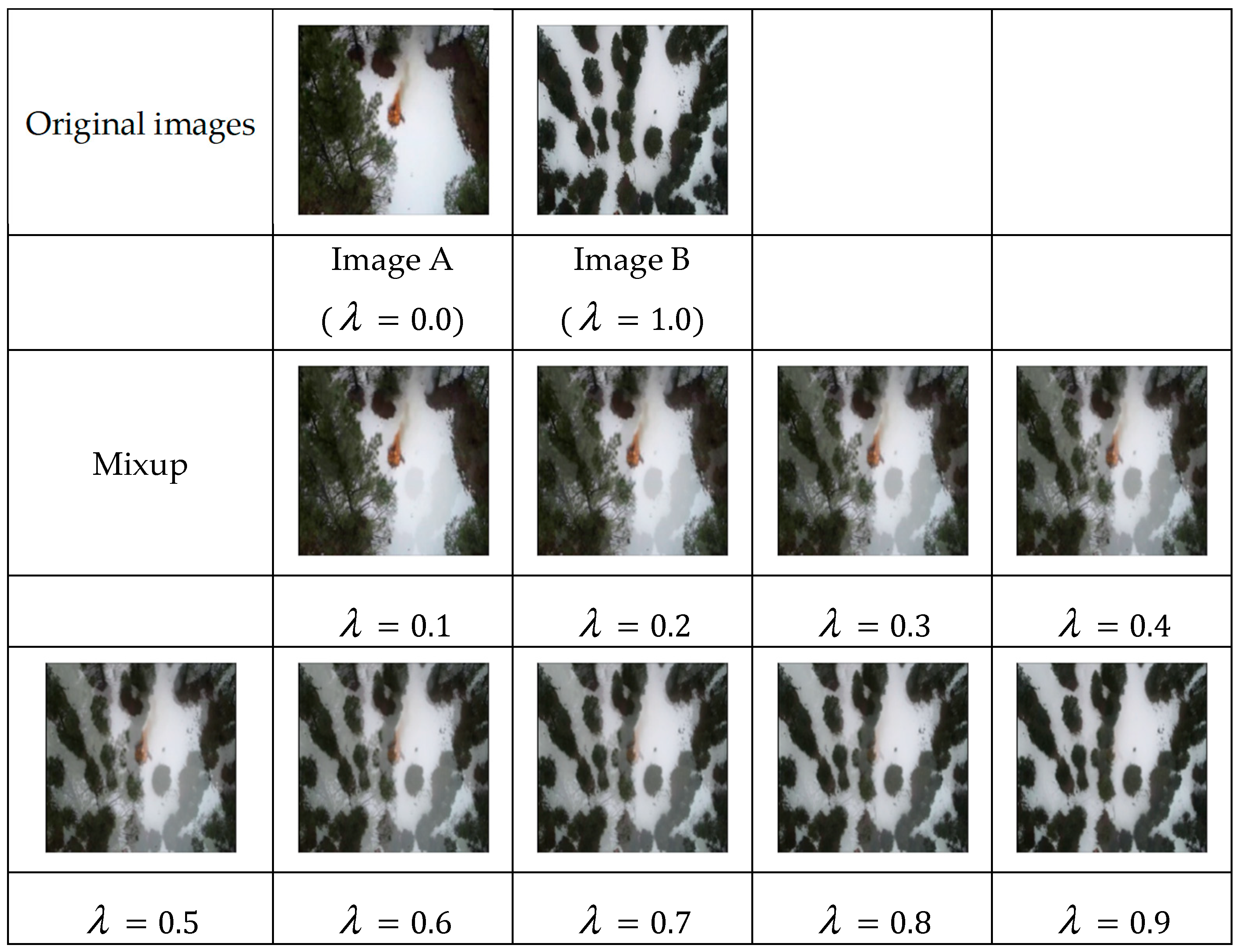 Forests 13 00975 g007