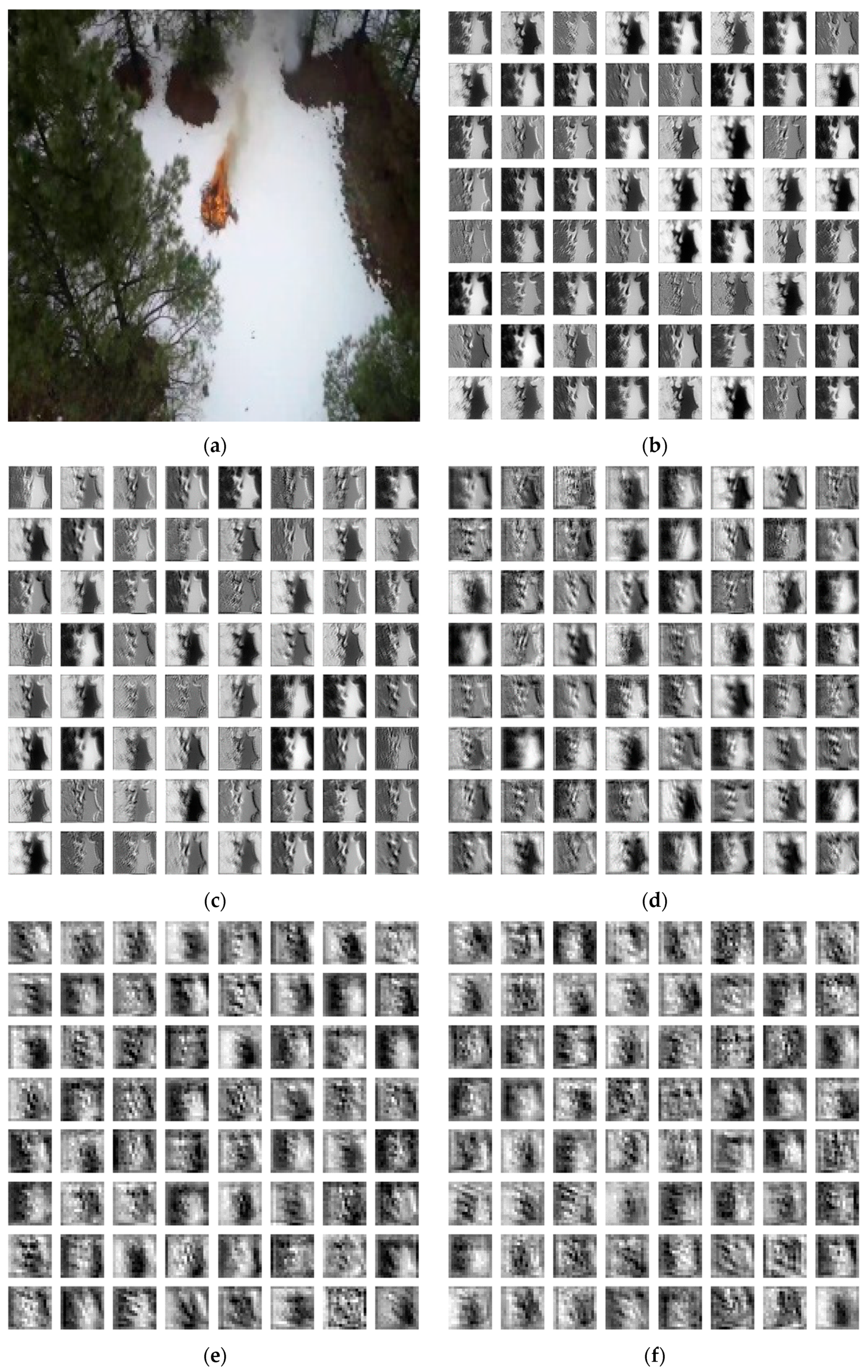 Forests 13 00975 g013