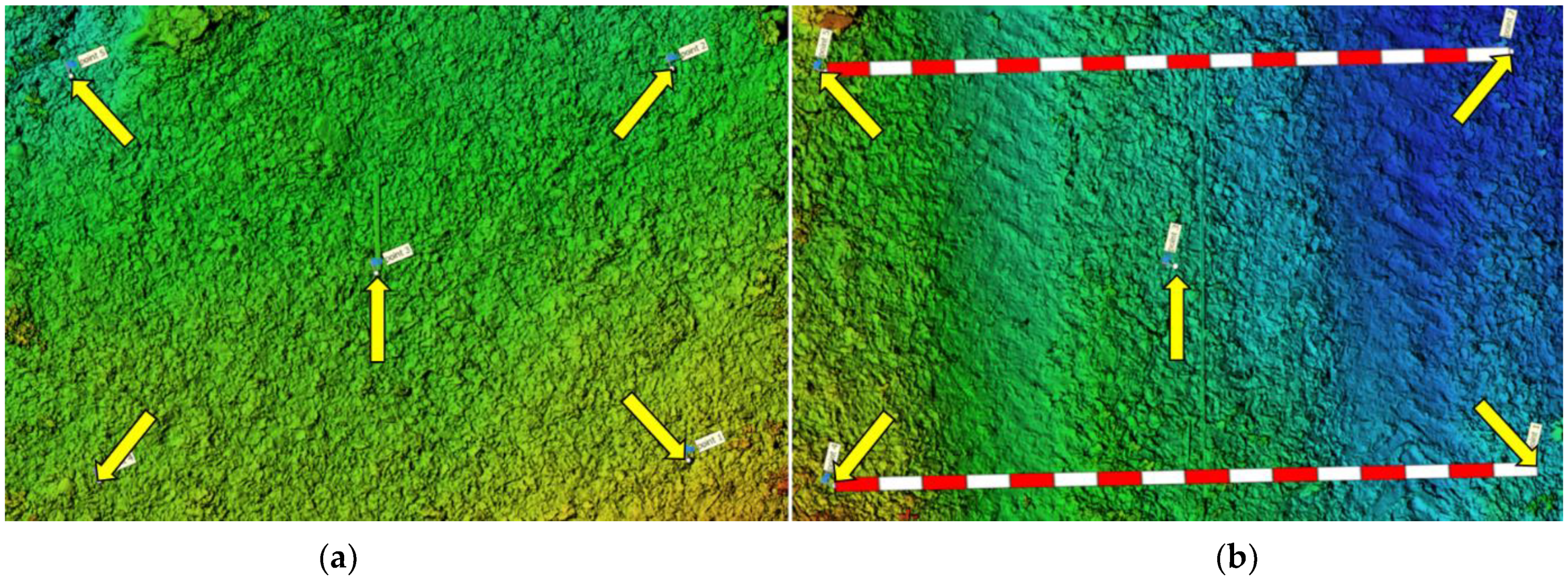 Forests 13 00976 g001