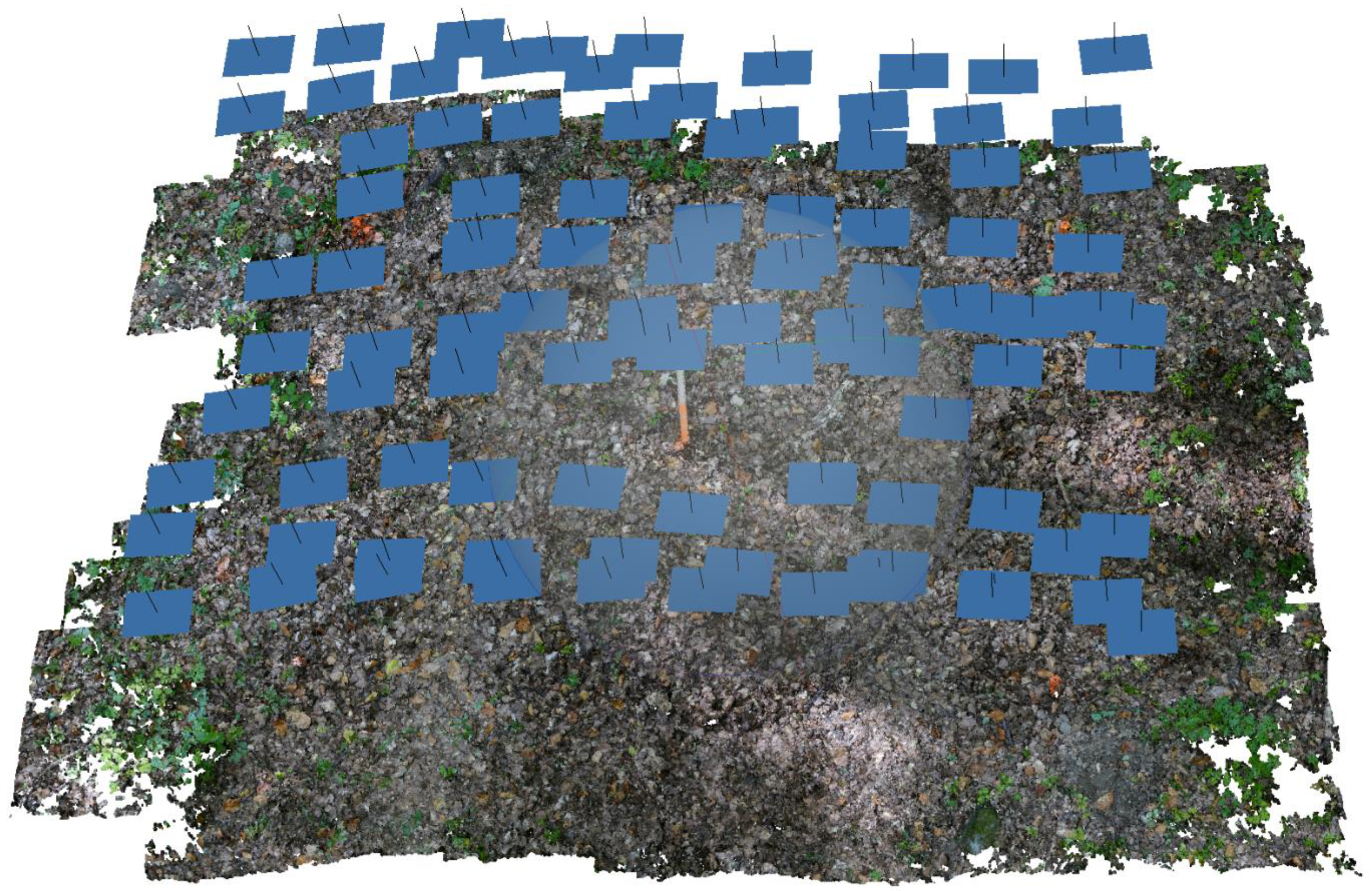 Forests 13 00976 g002