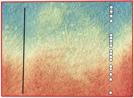 Forests 13 00976 g003 550