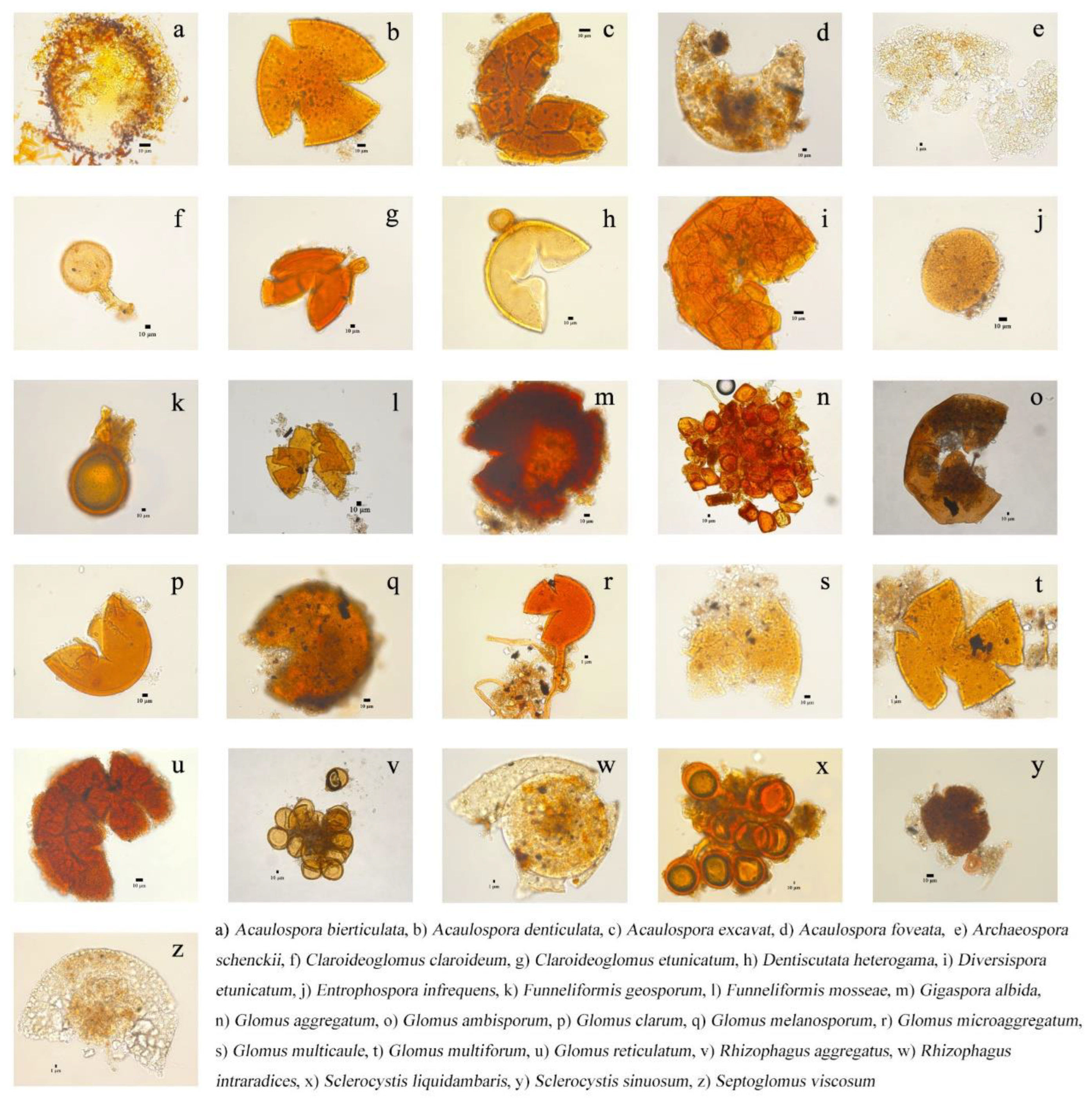 Forests 13 00979 g0a1