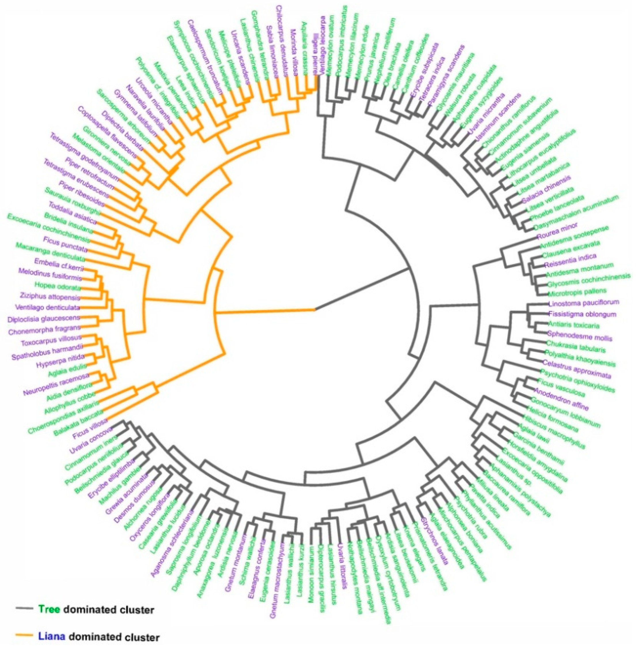 Forests 13 00990 g002