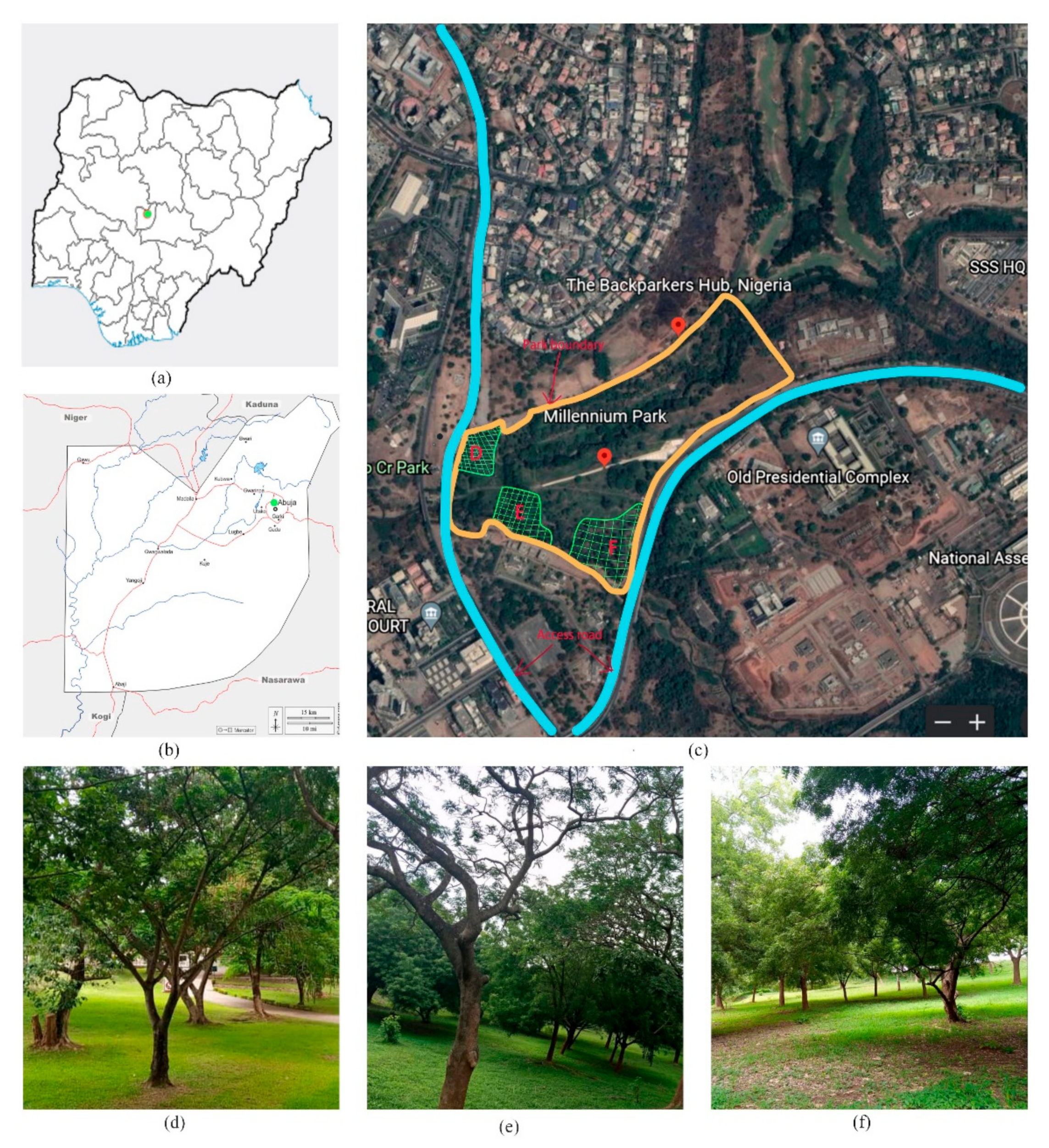 Forests 13 00994 g001