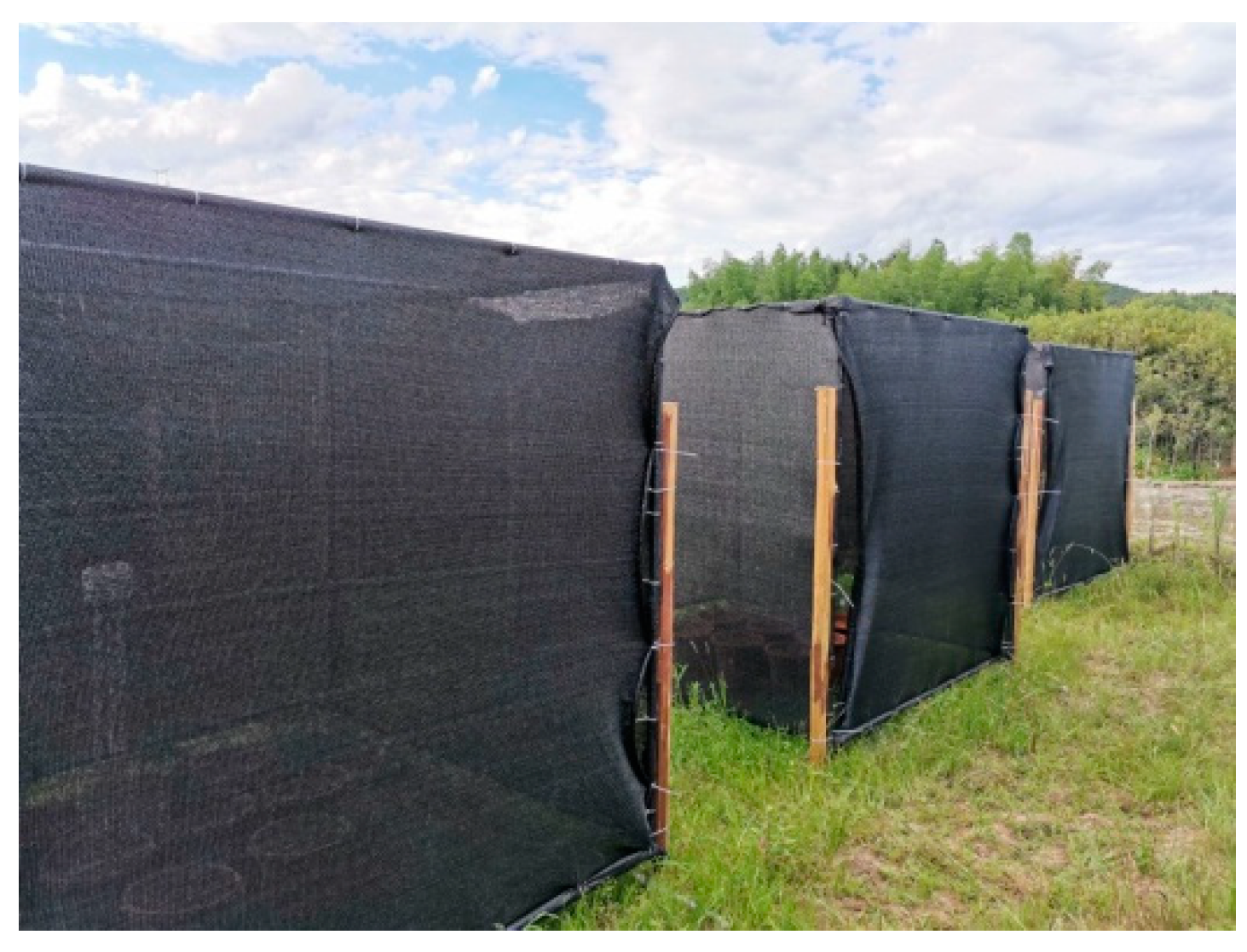 Forests 13 00996 g001