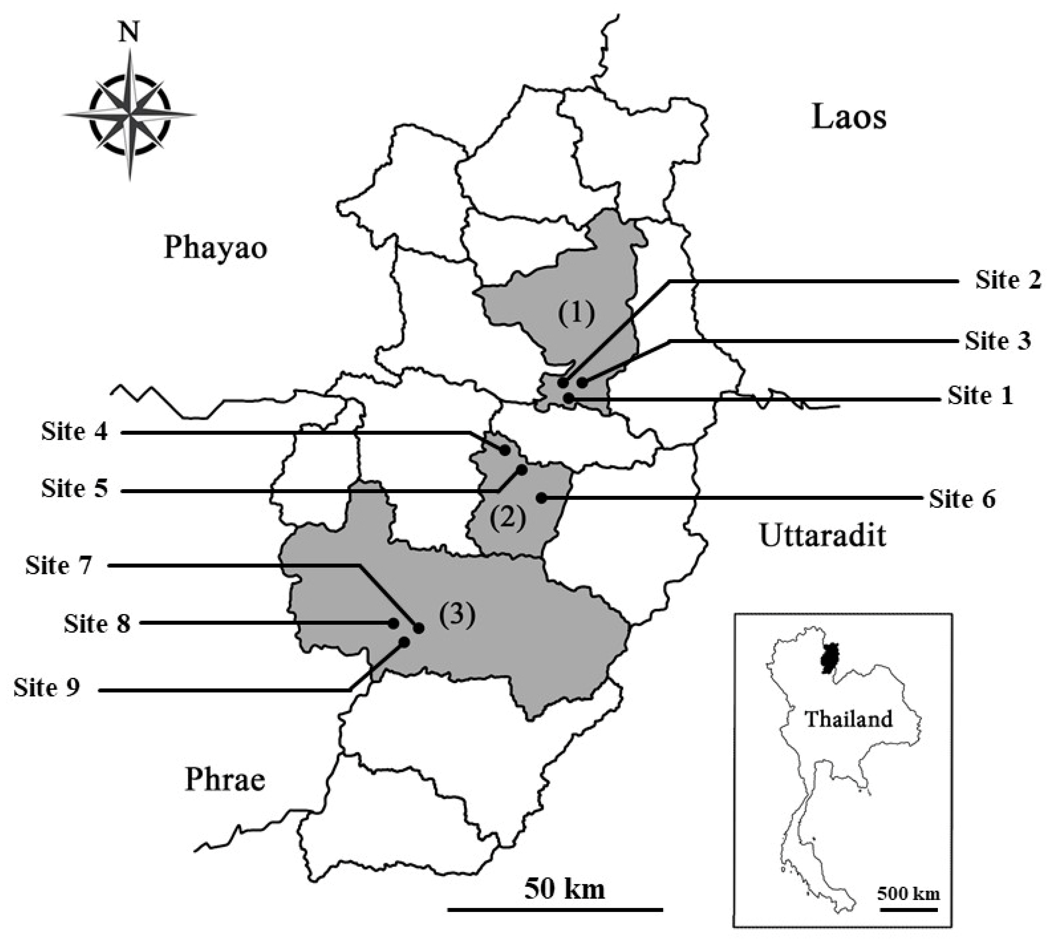 Forests 13 00997 g001 Forests 13 00997 g001