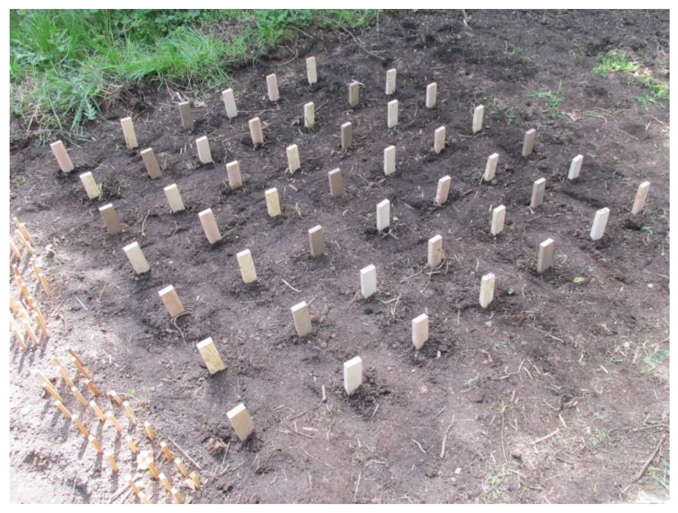 Forests 13 01003 g001