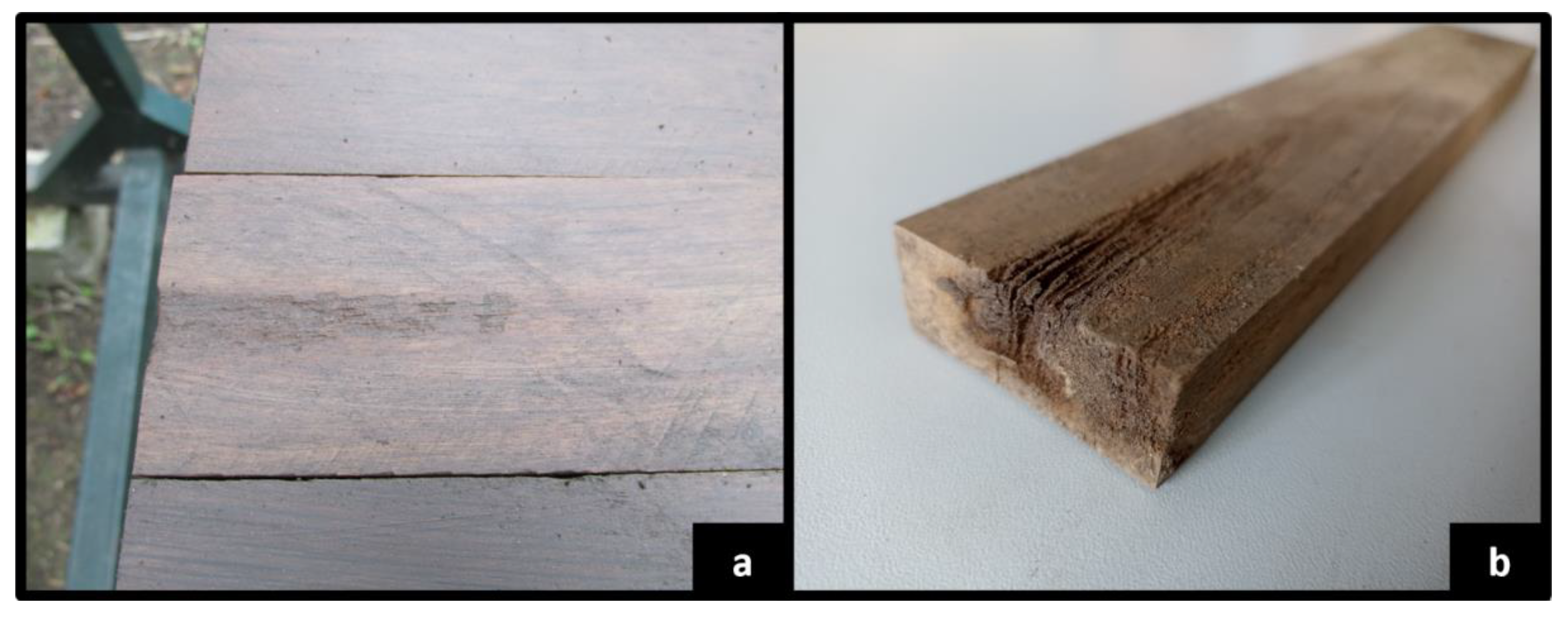 Forests 13 01003 g003