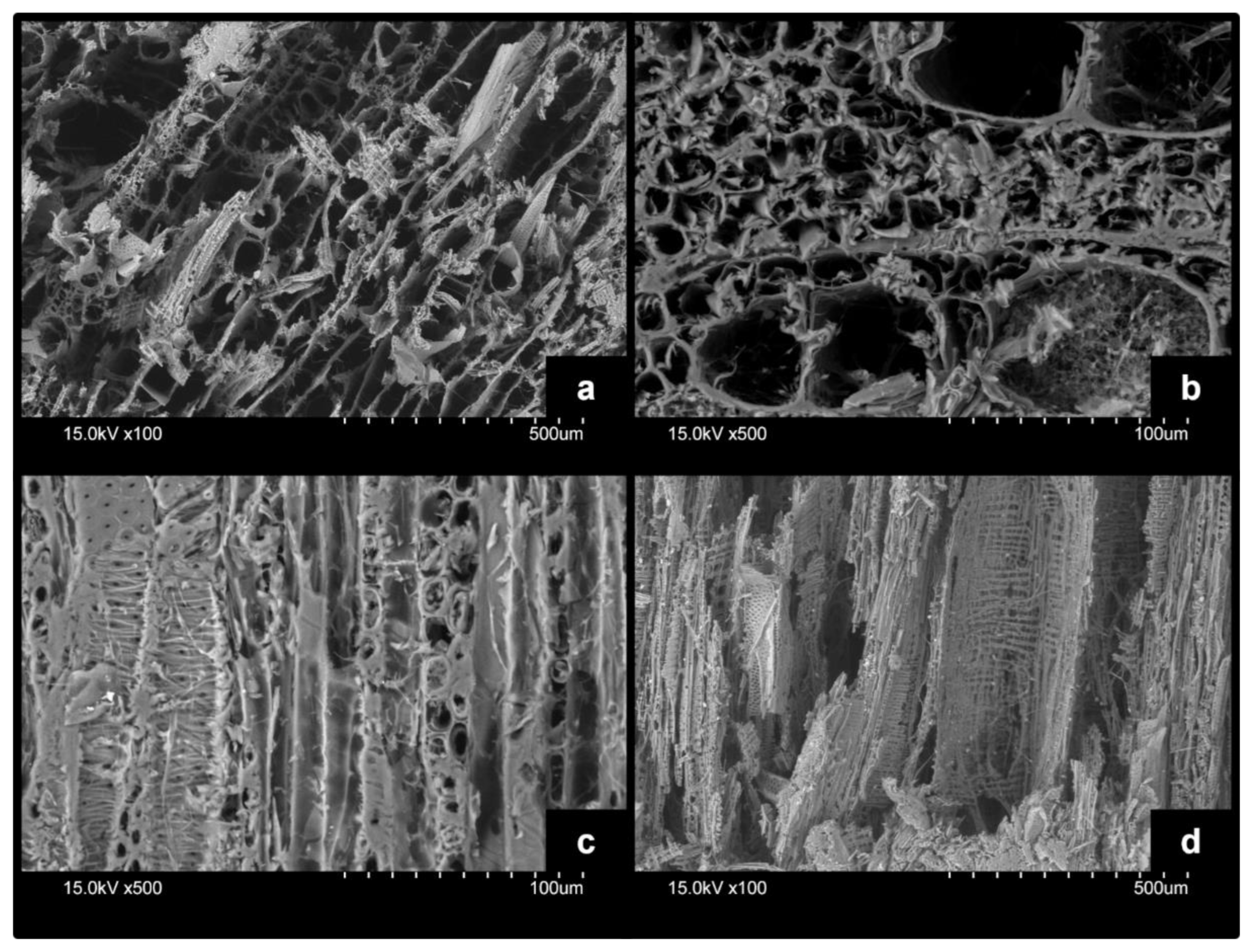 Forests 13 01003 g006