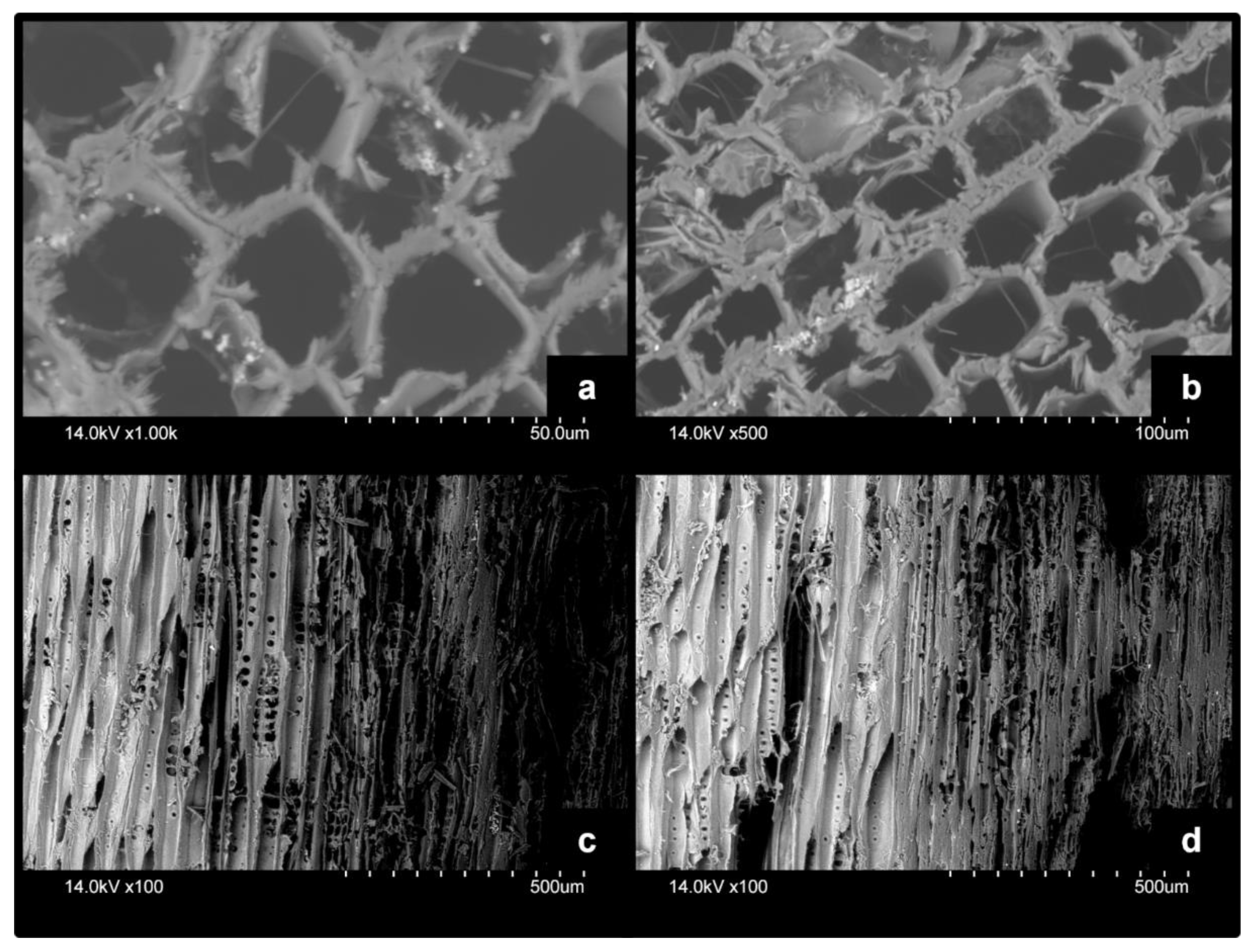 Forests 13 01003 g008