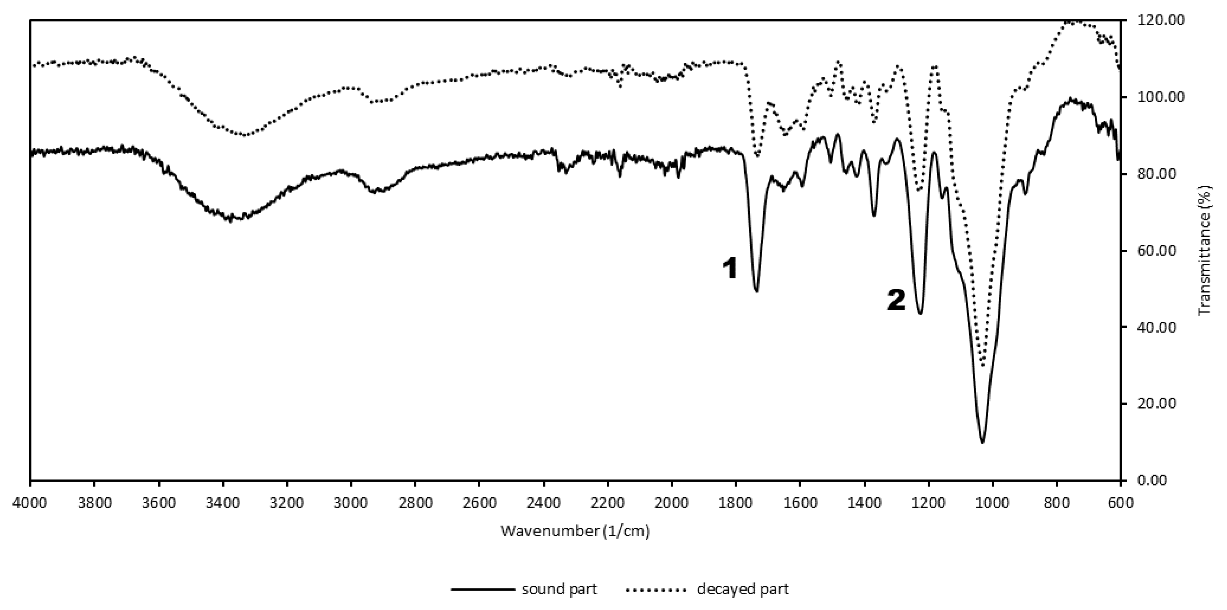 Forests 13 01003 g009