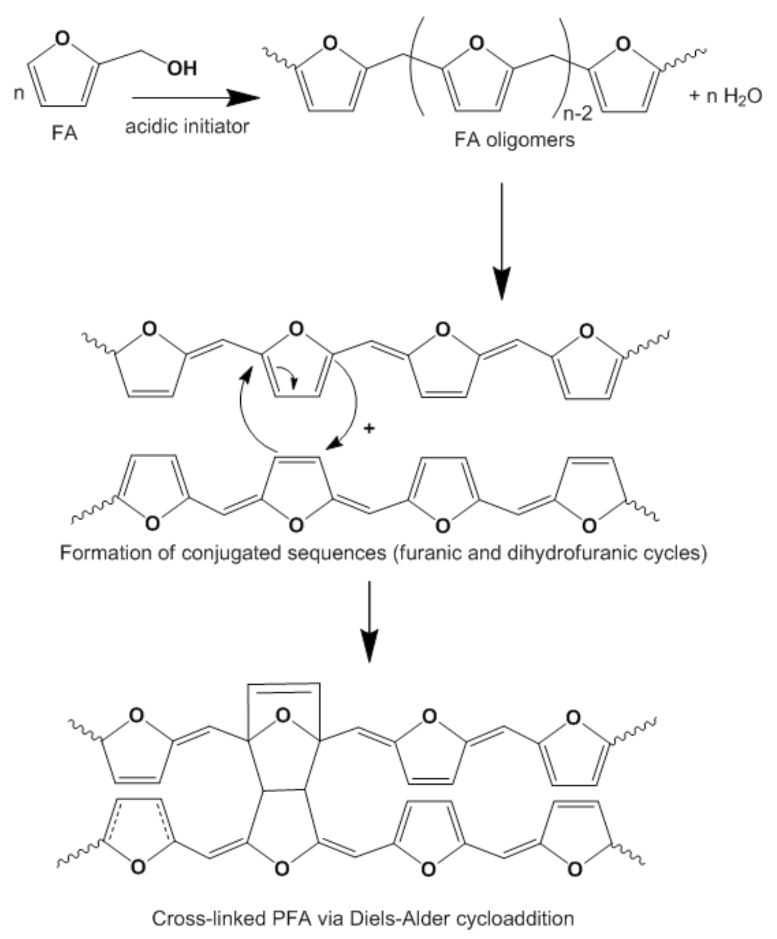 Forests 13 01004 g002