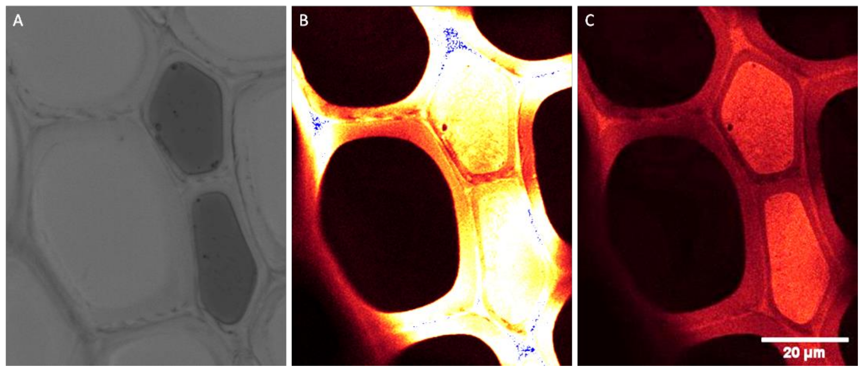 Forests 13 01004 g003