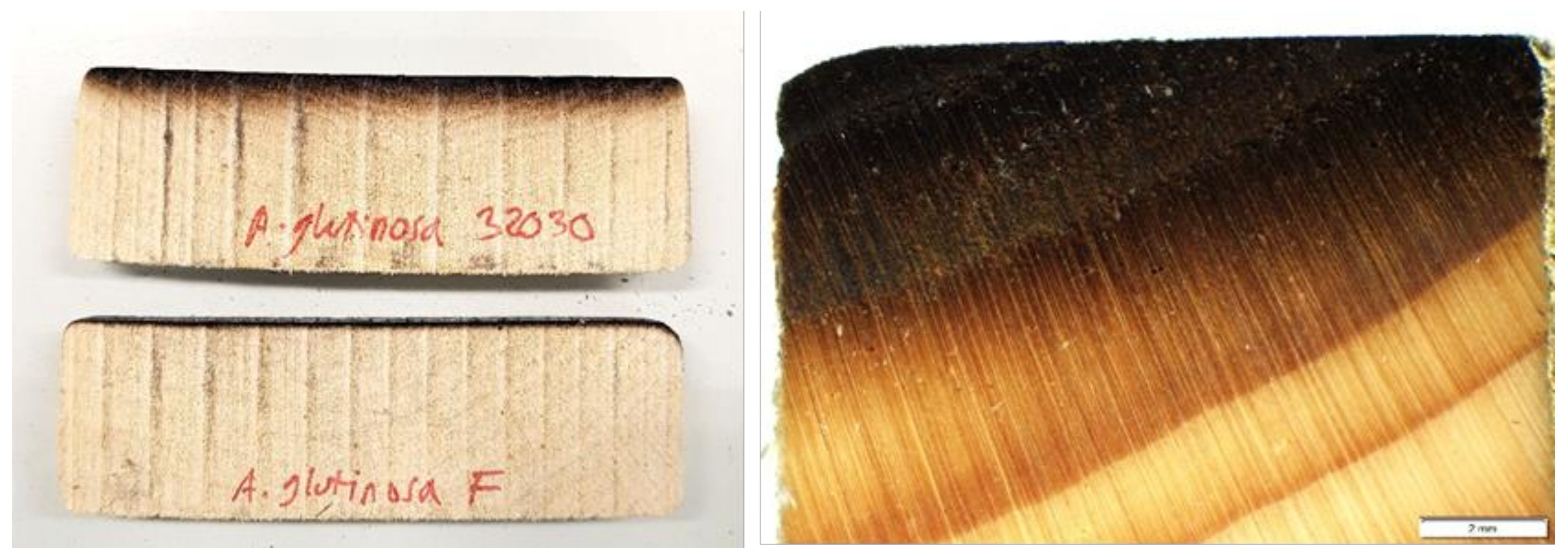 Forests 13 01004 g006