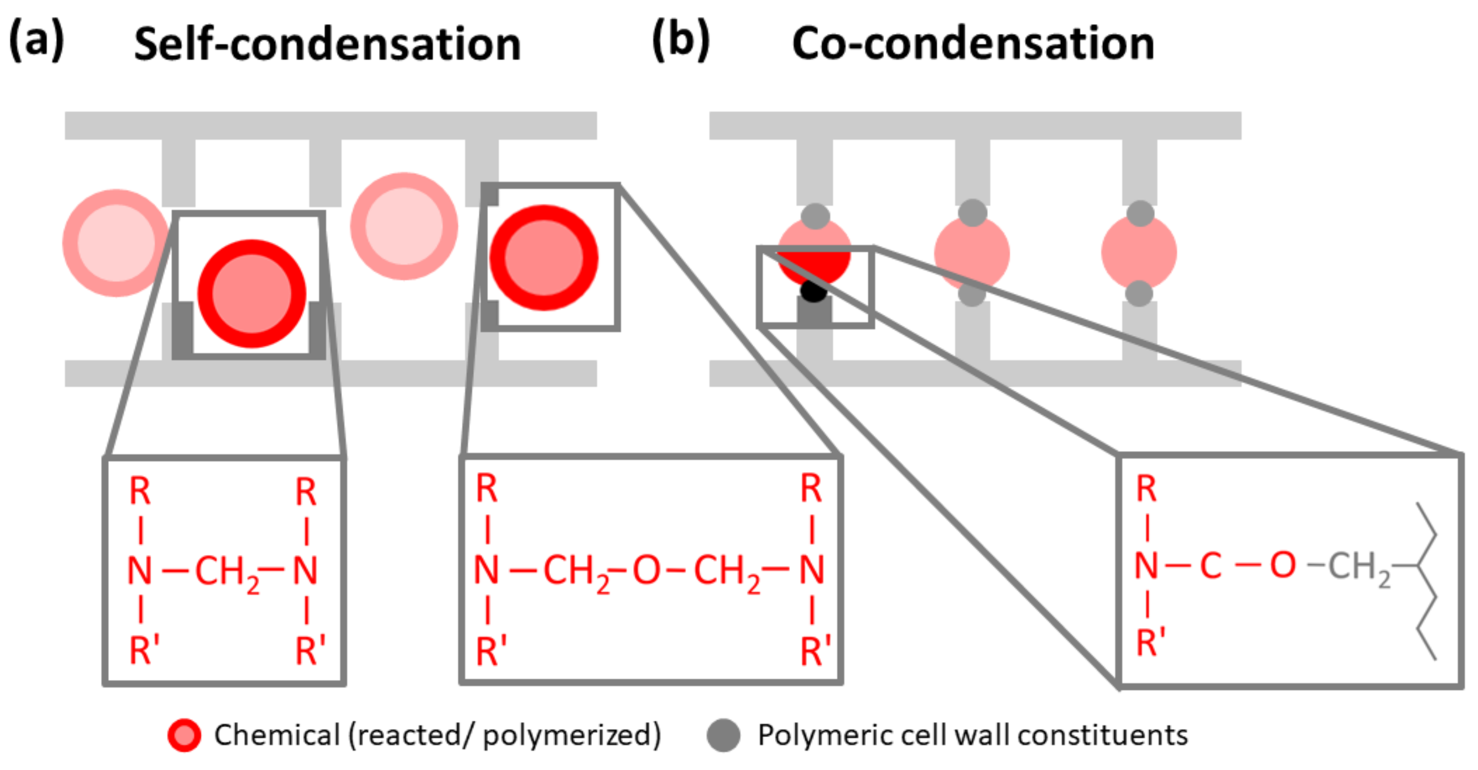 Forests 13 01004 g008